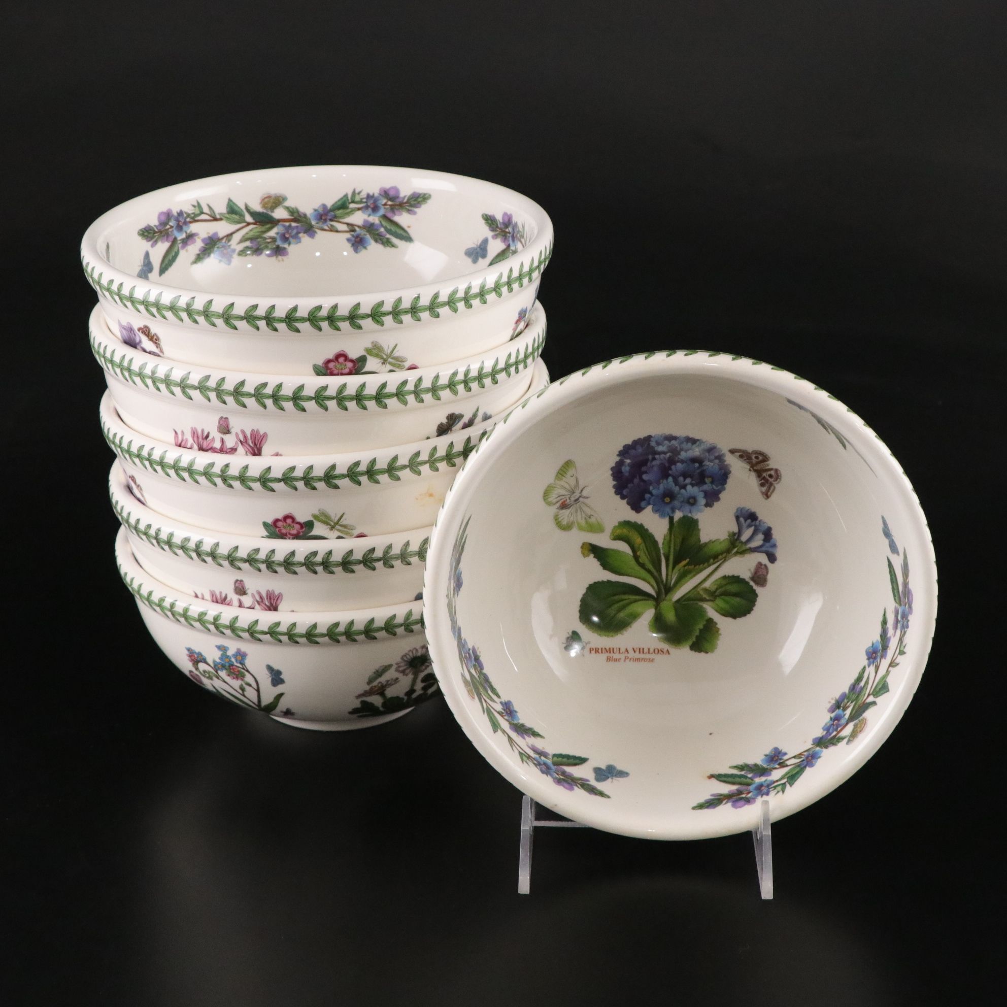 Potrmeirion "Botanic Garden" Six Piece Setting for Six Dinner