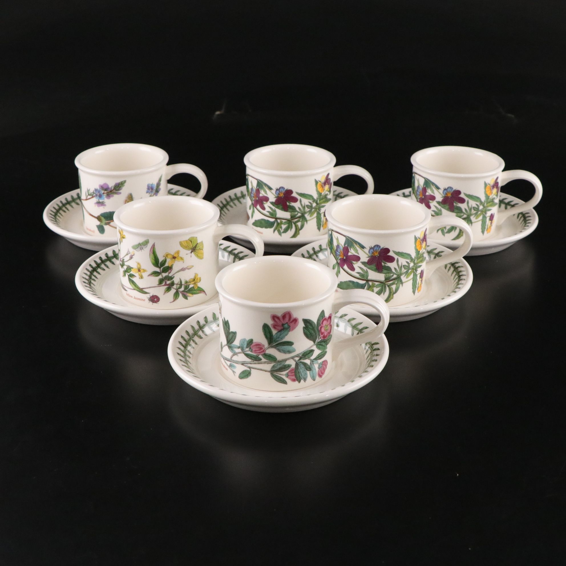 Potrmeirion "Botanic Garden" Six Piece Setting for Six Dinner