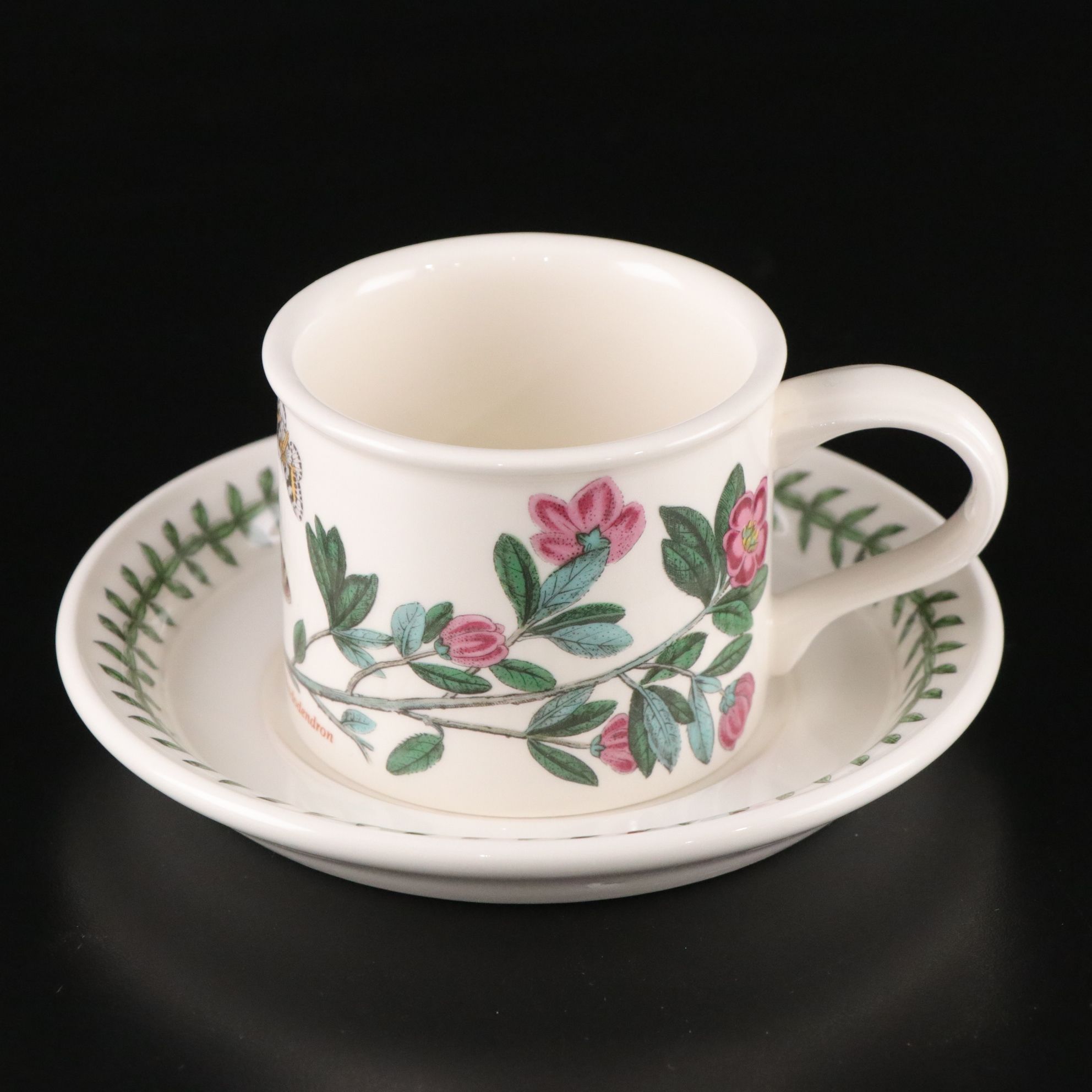 Potrmeirion "Botanic Garden" Six Piece Setting for Six Dinner