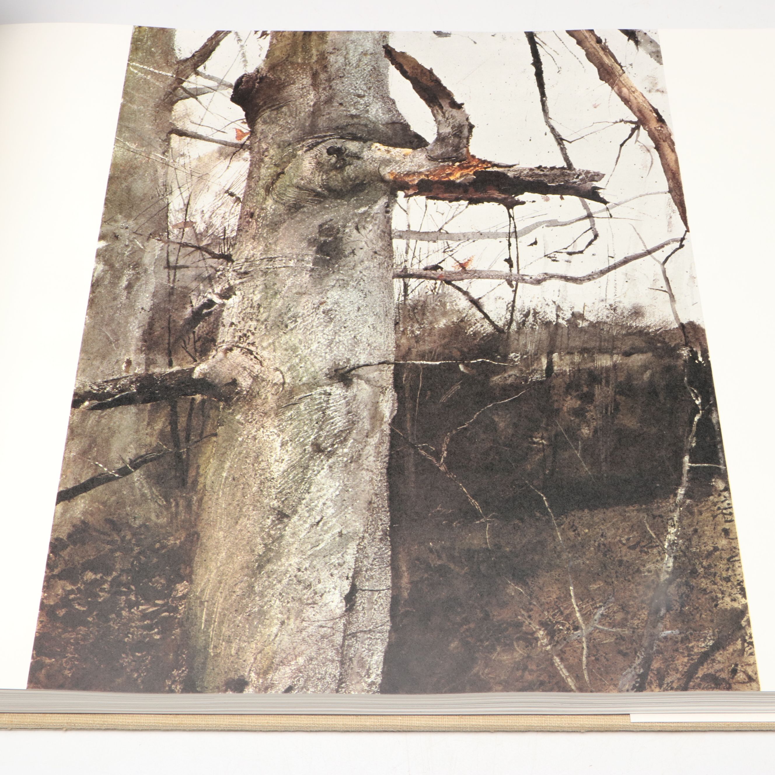 Second Printing "Andrew Wyeth" by Richard Meryman, 1968