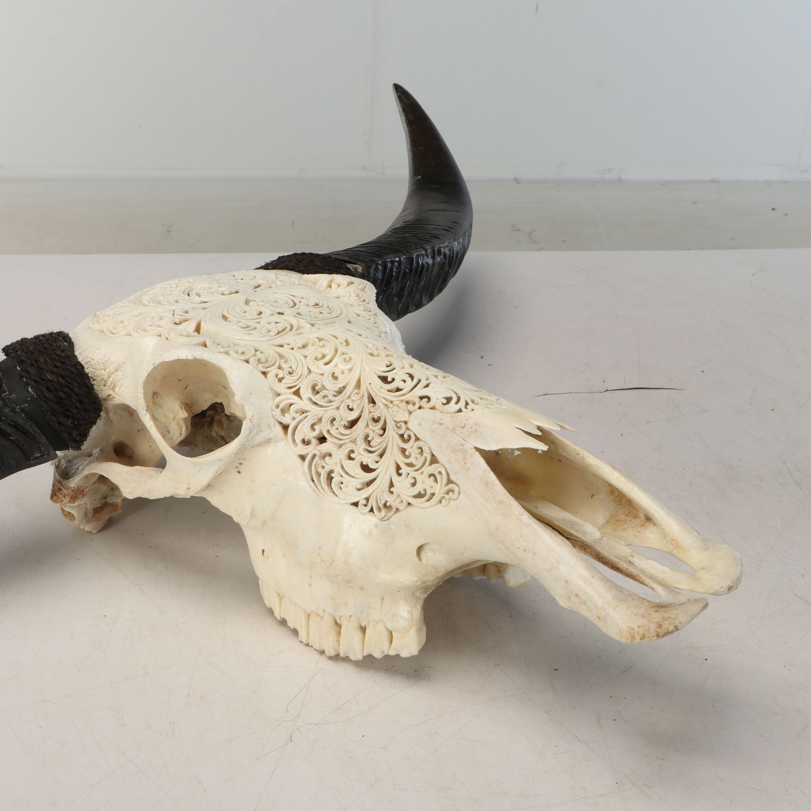 Taxidermy Hand-Carved Water Buffalo Skull with Horns