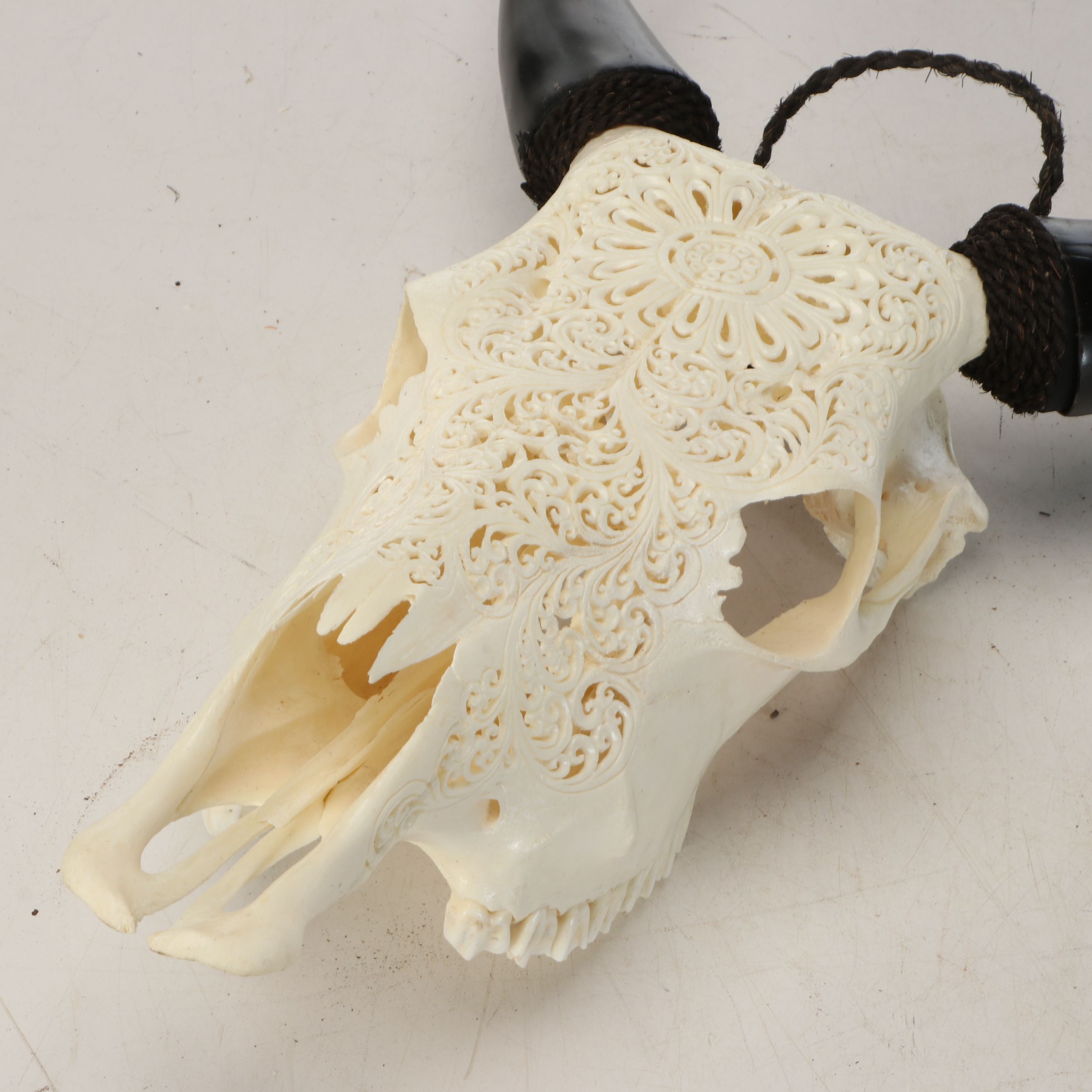 Taxidermy Hand-Carved Water Buffalo Skull with Horns