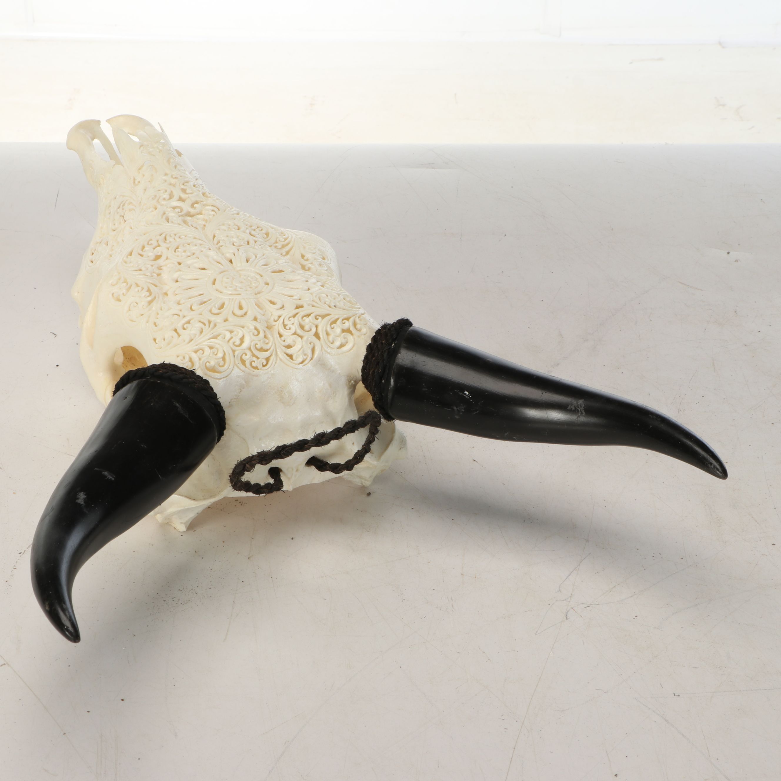 Taxidermy Hand-Carved Water Buffalo Skull with Horns