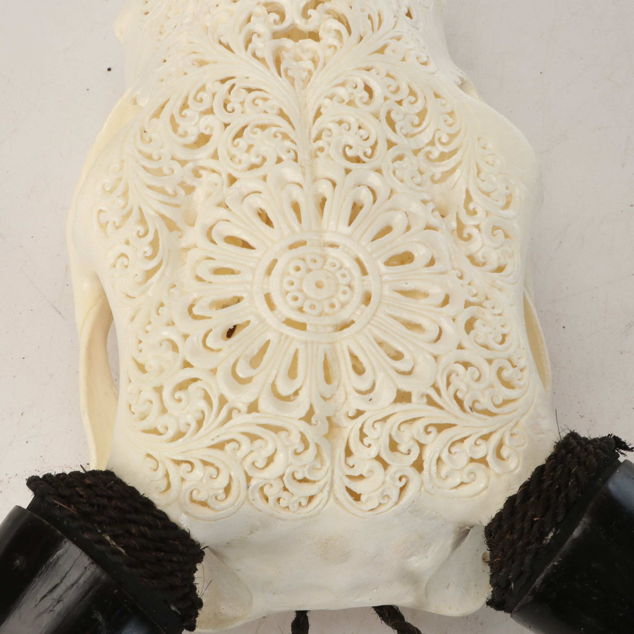 Taxidermy Hand-Carved Water Buffalo Skull with Horns