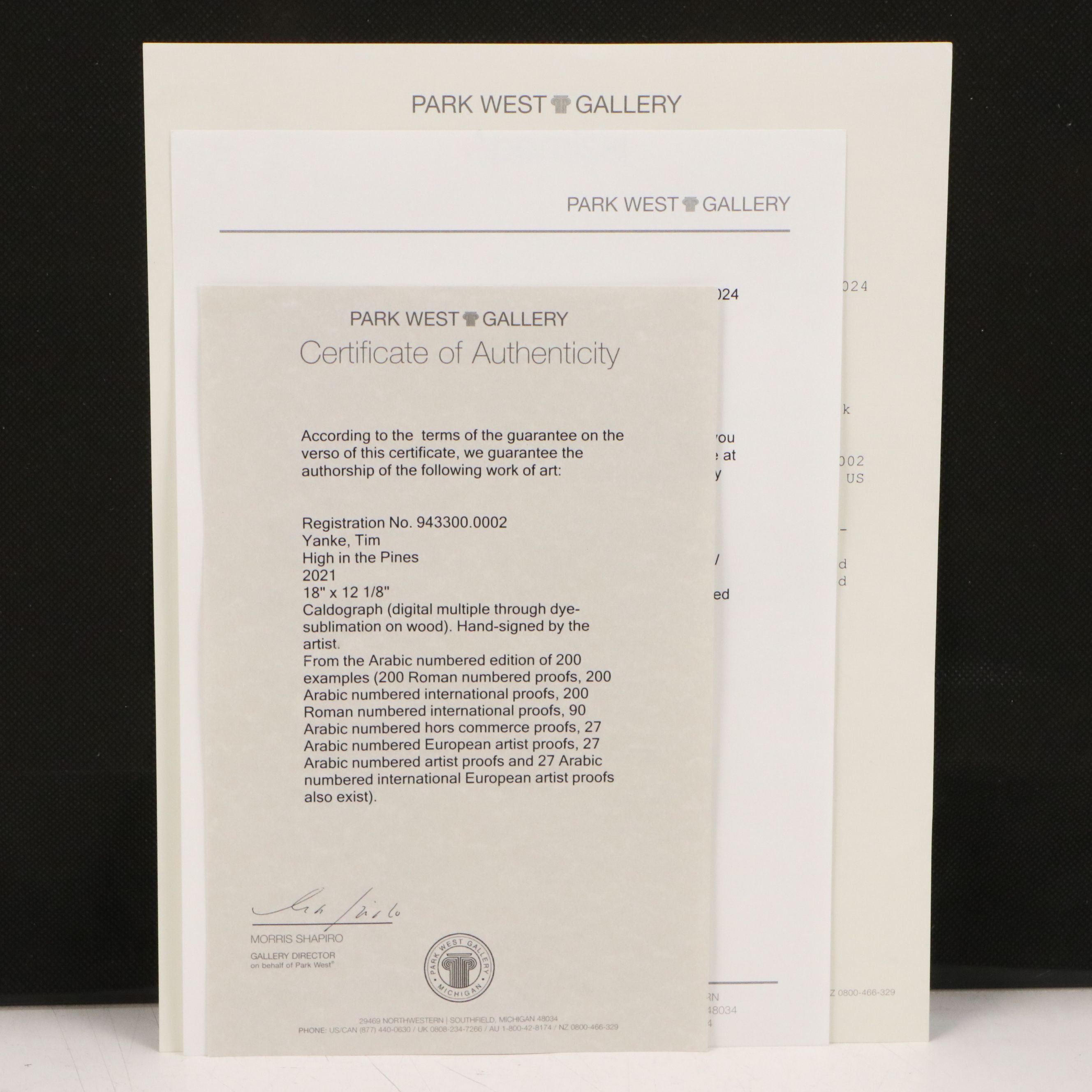 Tim Yanke Abstract Caldograph "High in the Pines," 2021