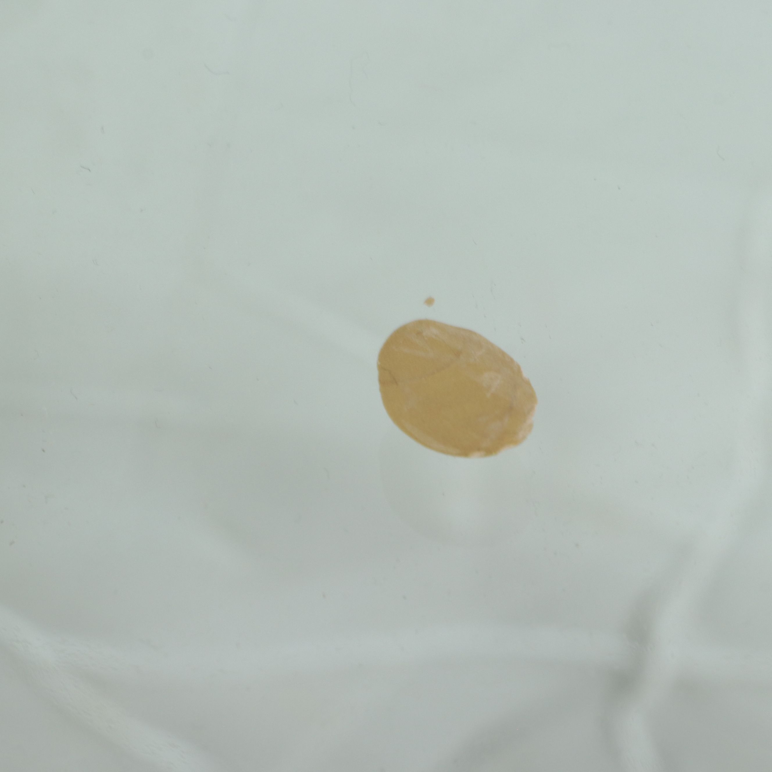 Mid Century Modern Burl Wood Pedestal Console Table with Glass Top, Late 20th C.