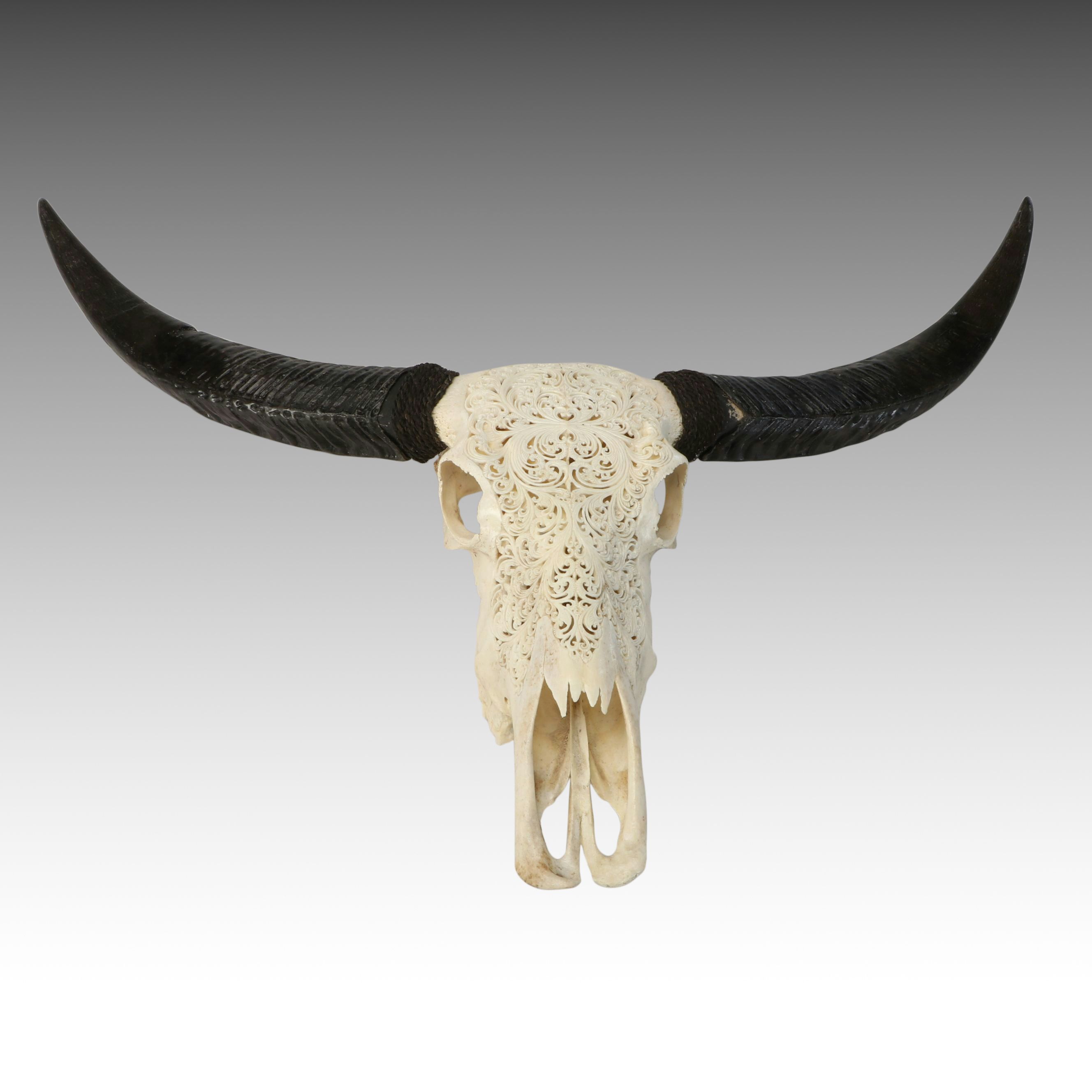 Taxidermy Hand-Carved Water Buffalo Skull with Horns