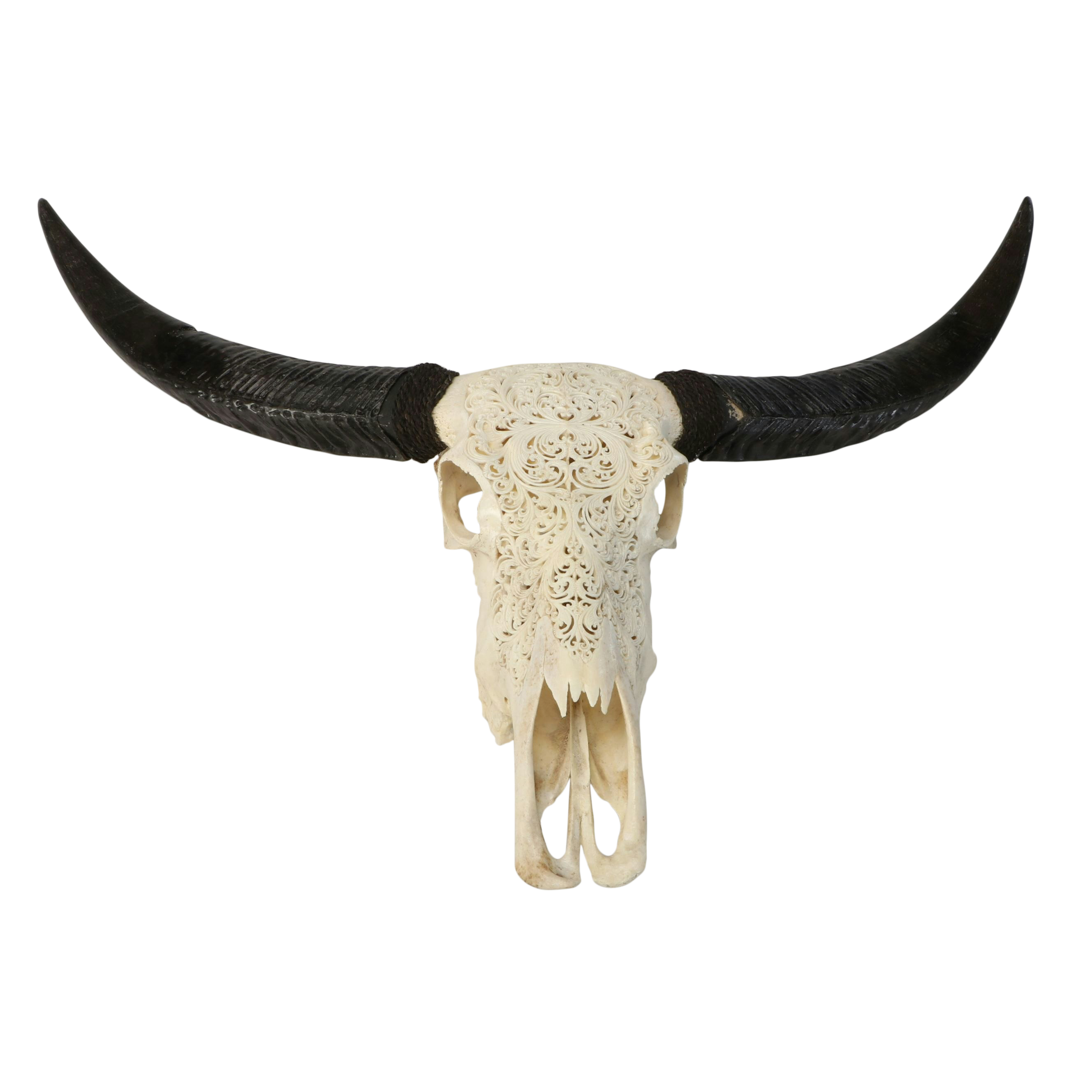 Taxidermy Hand-Carved Water Buffalo Skull with Horns