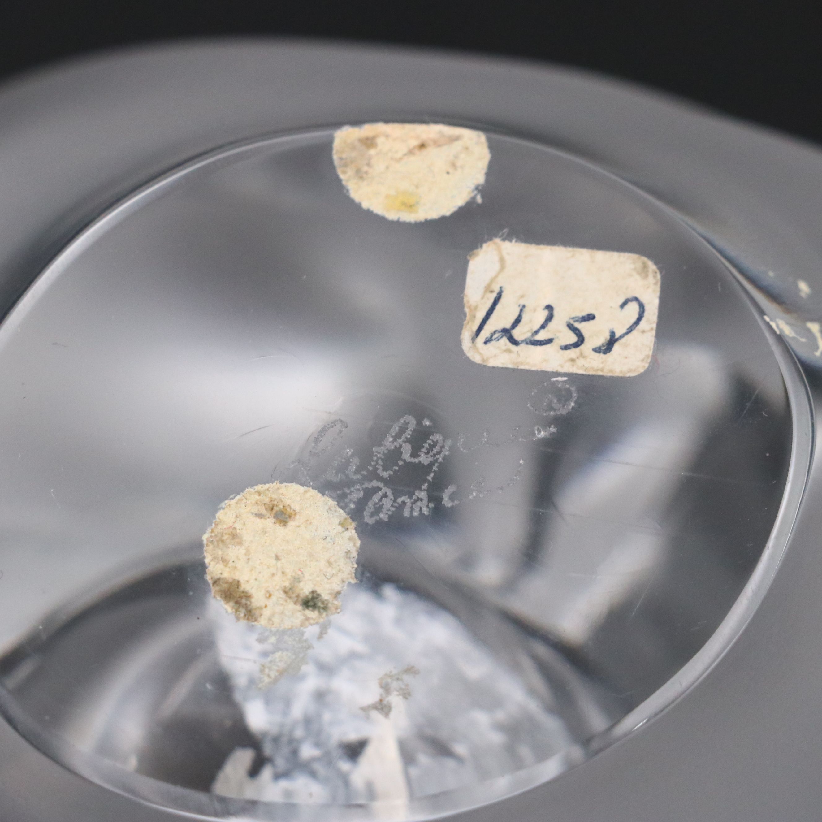 Lalique "Sylvie" Frosted and Clear Crystal Vase