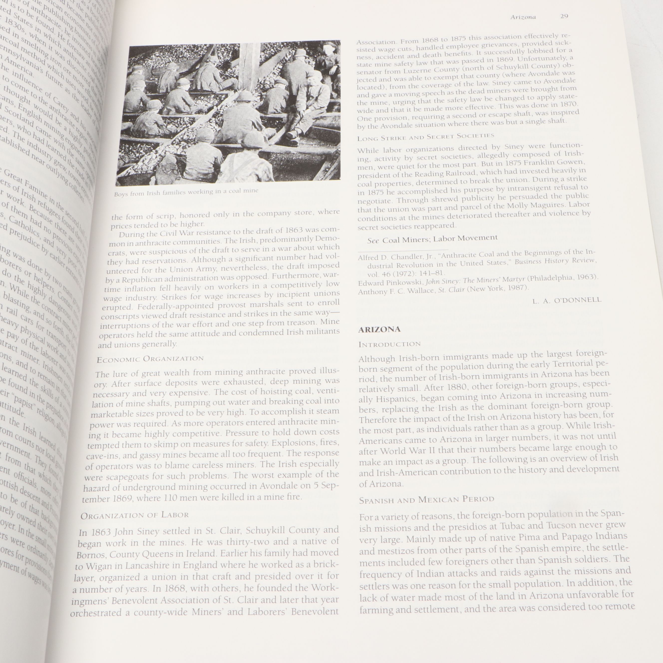 "The Encyclopedia of the Irish in America" Edited by Michael Glazier, 1999