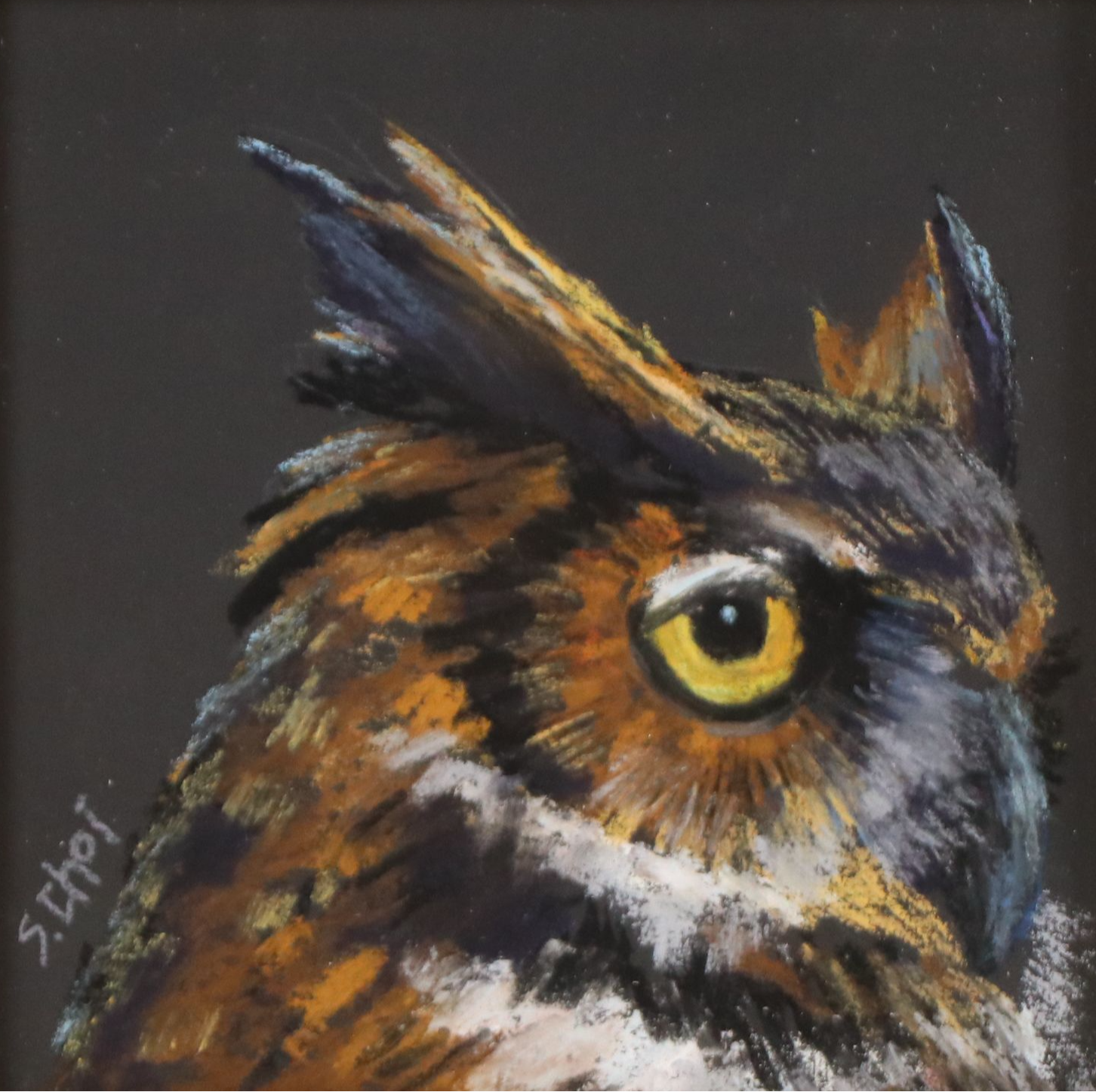 Sunkyung Choi Pastel Drawing of Owl