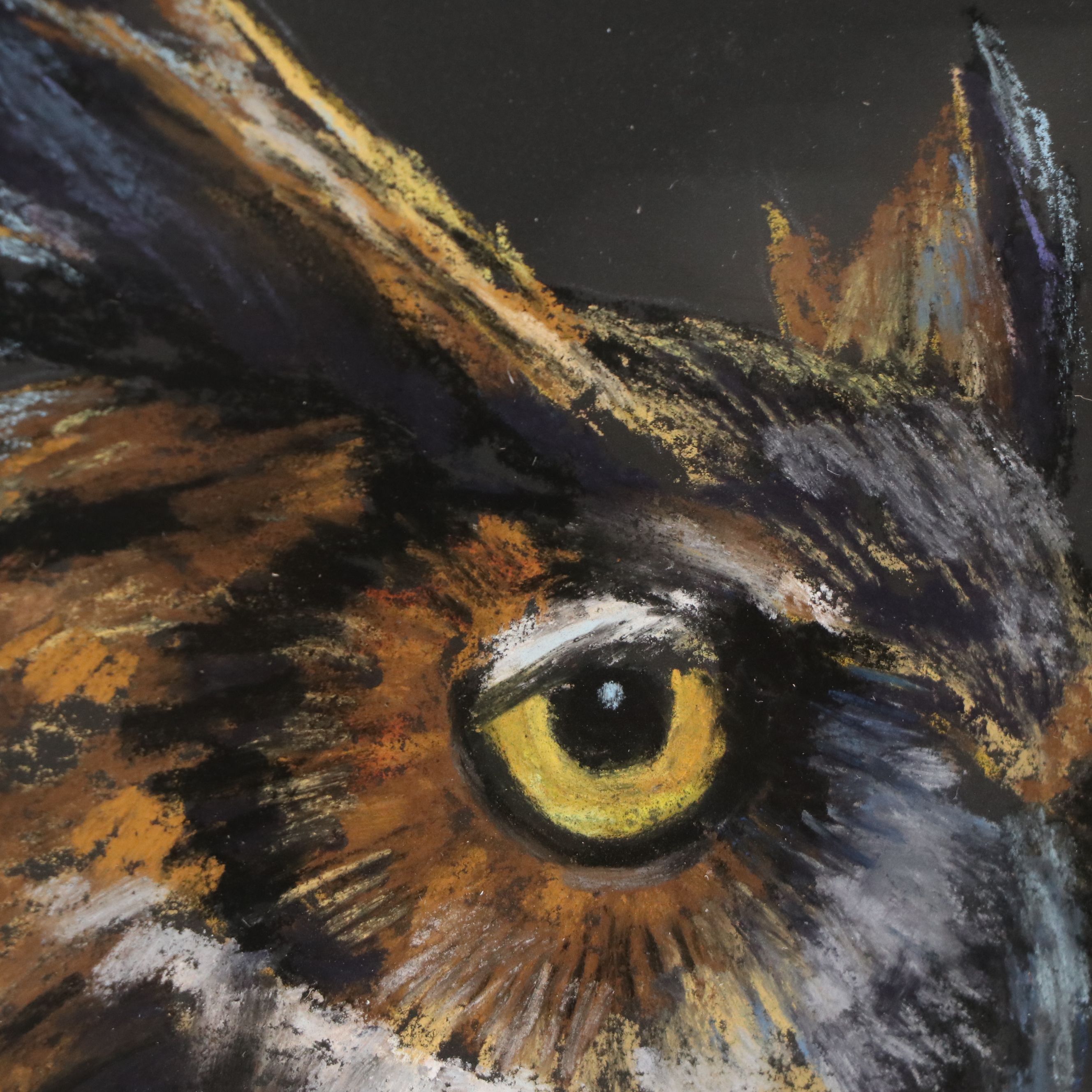 Sunkyung Choi Pastel Drawing of Owl