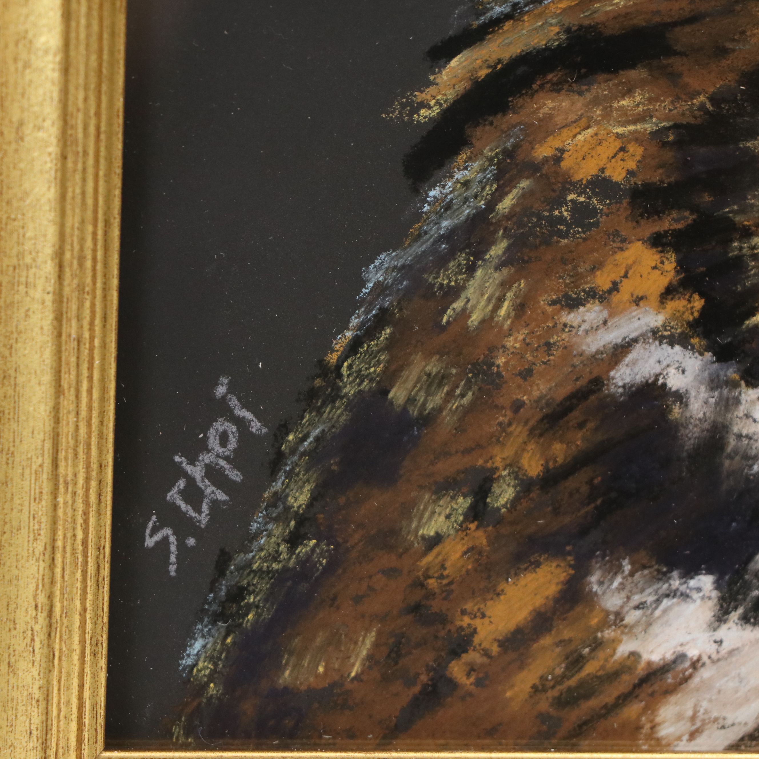 Sunkyung Choi Pastel Drawing of Owl