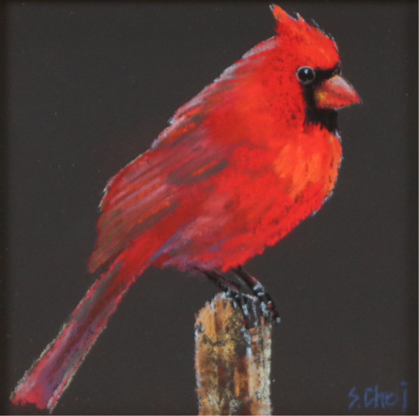 Sunkyung Choi Pastel Drawing of a Cardinal