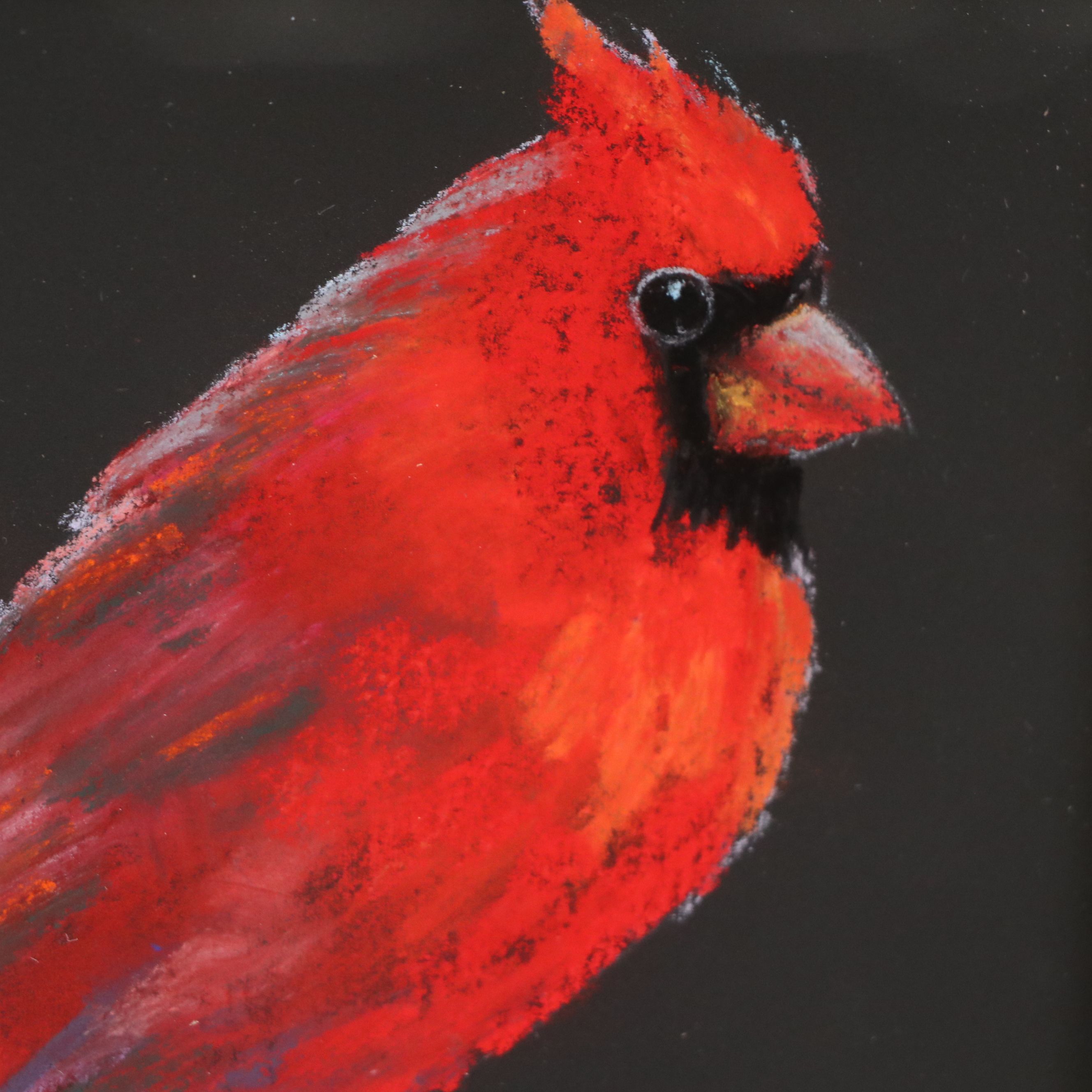 Sunkyung Choi Pastel Drawing of a Cardinal