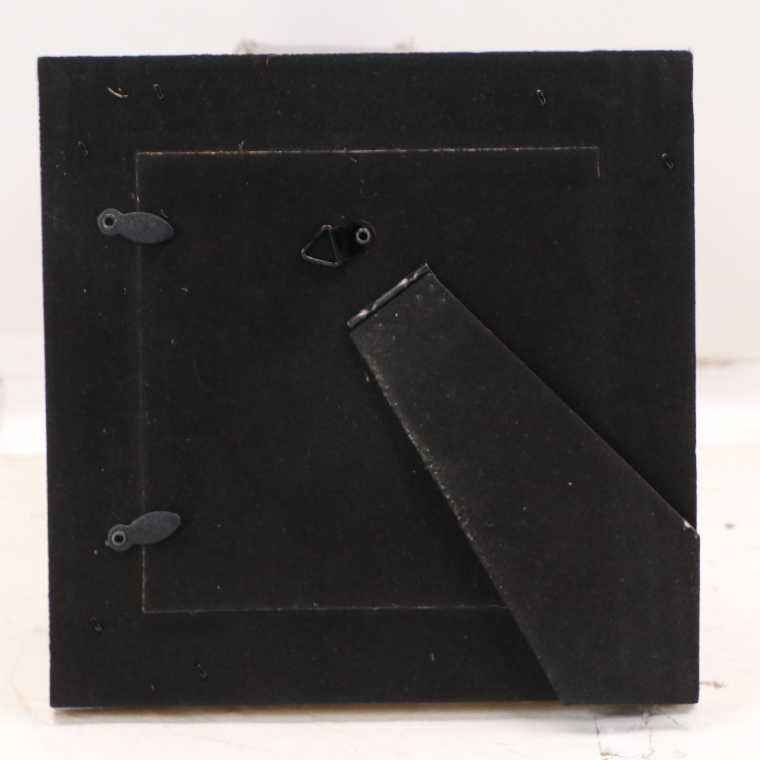 Sunkyung Choi Pastel Drawing of a Cardinal