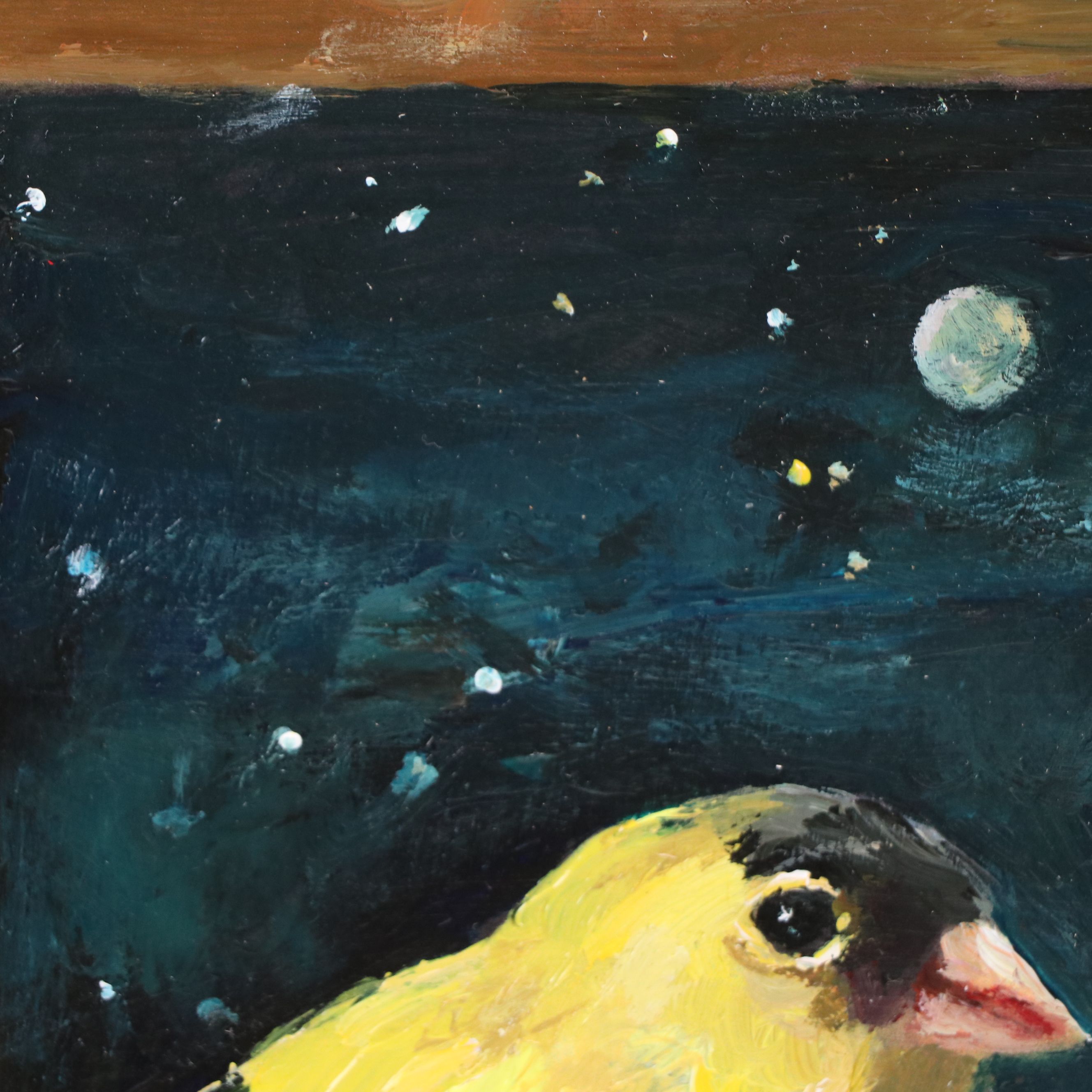 Adam Deda Bird Oil Painting "Moonlight Chats," 2026