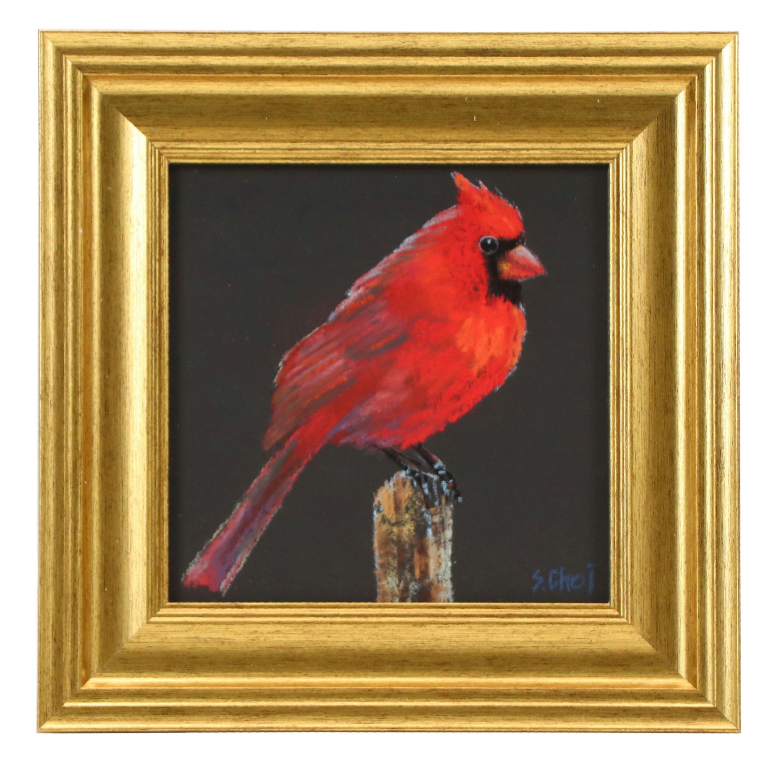Sunkyung Choi Pastel Drawing of a Cardinal