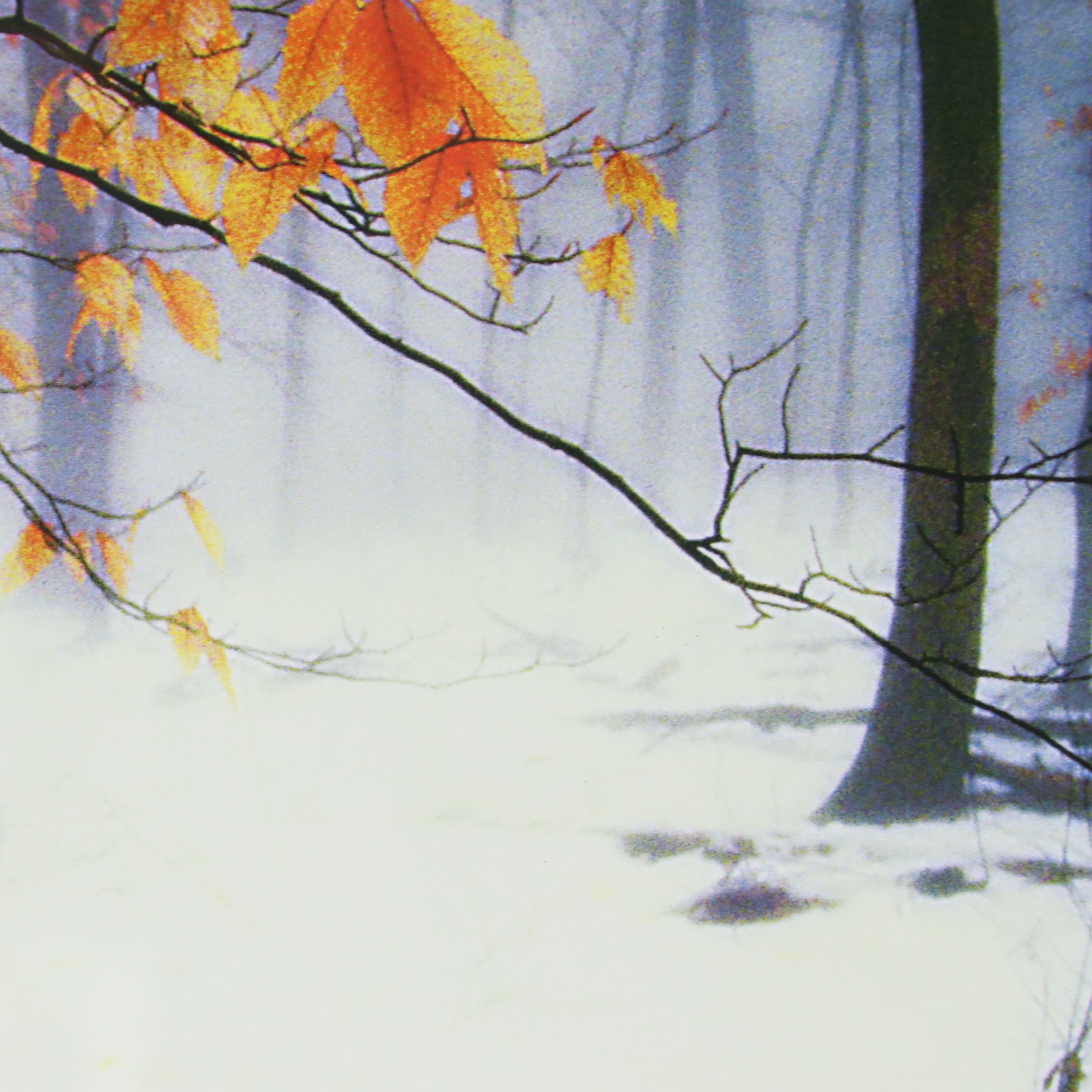 Snowy Forest Landscape Giclee, 21st Century