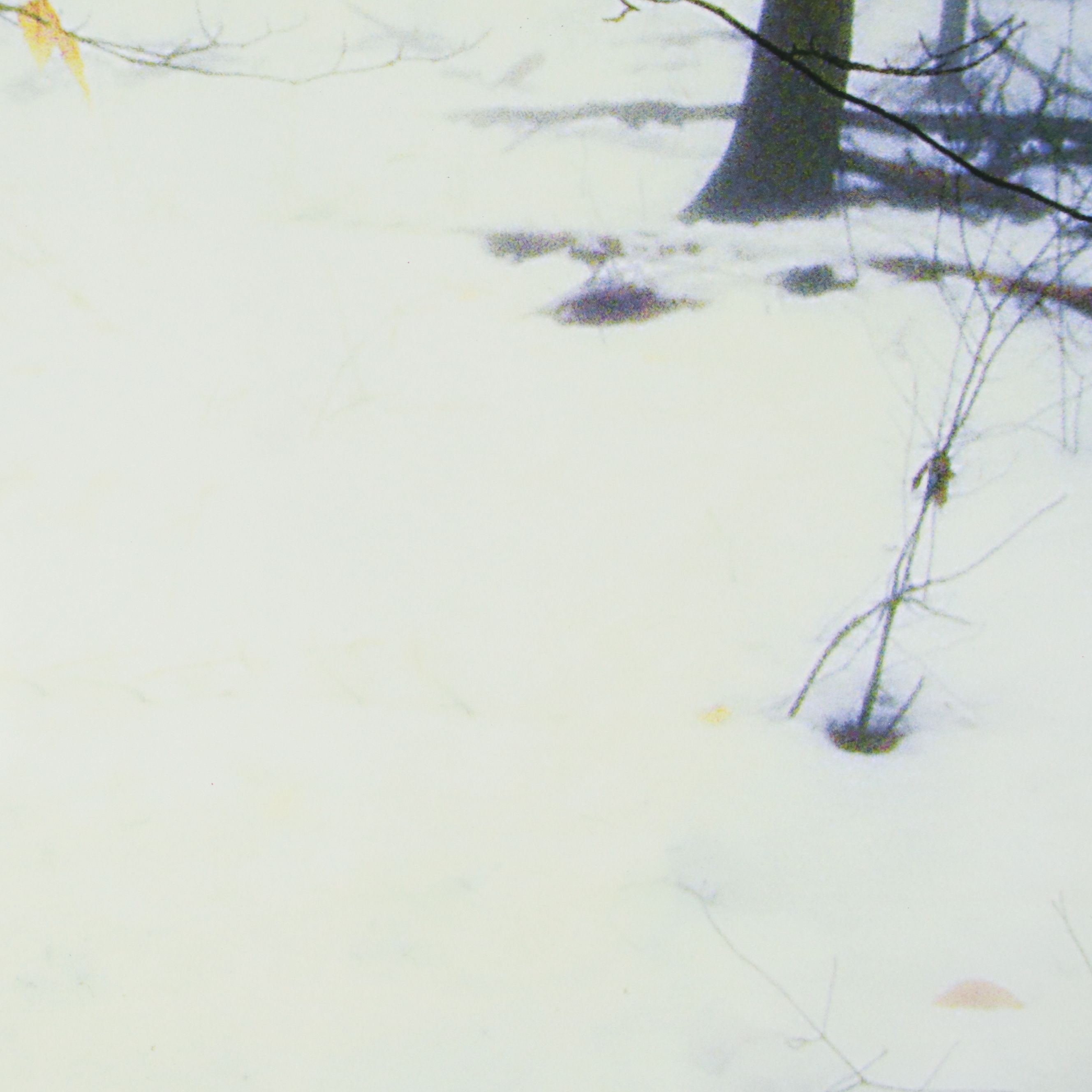 Snowy Forest Landscape Giclee, 21st Century