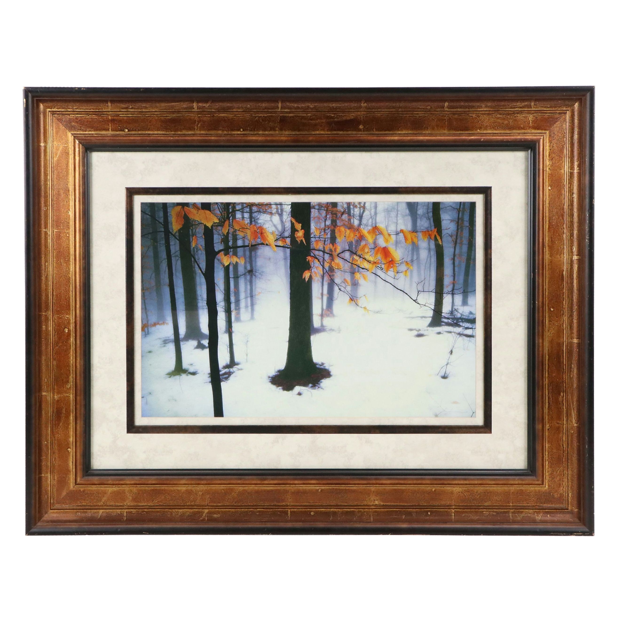 Snowy Forest Landscape Giclee, 21st Century