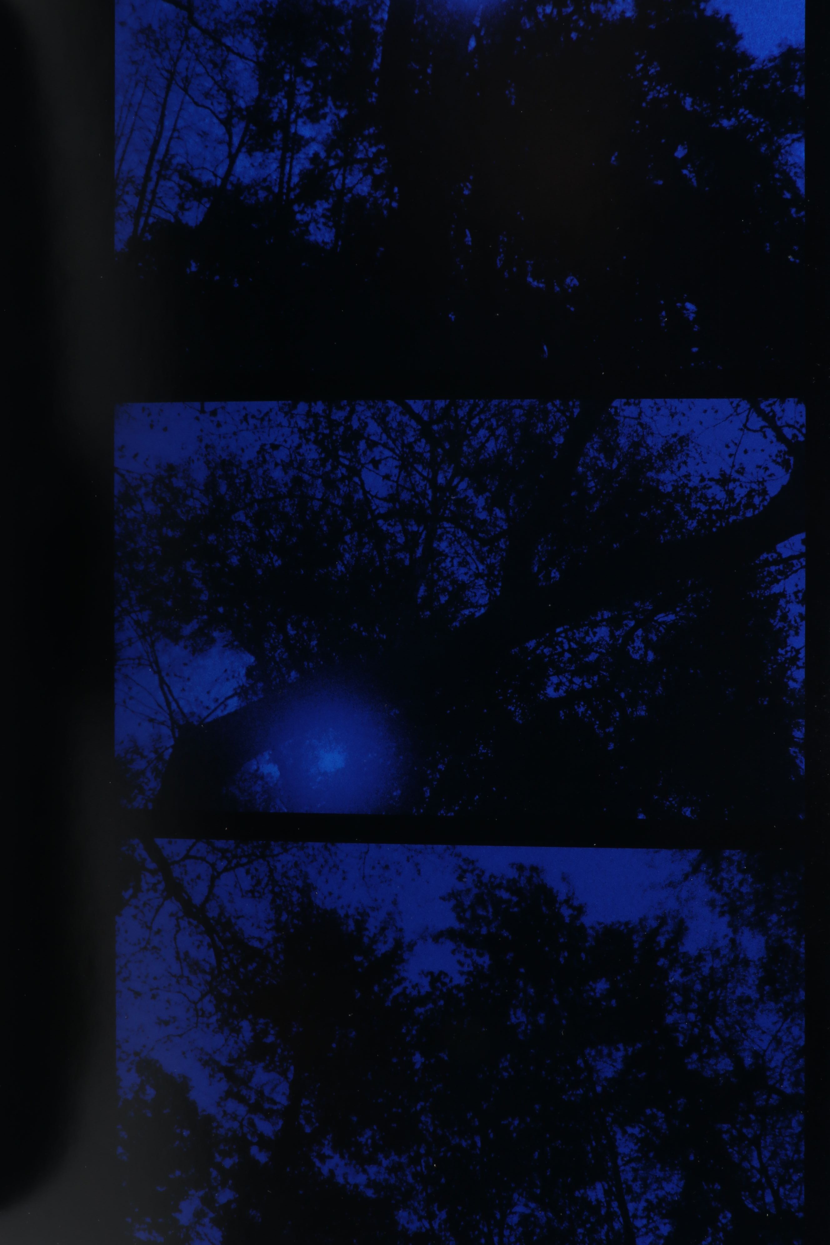 First Edition "La Nuit Américaine" by P. Staff, 2023