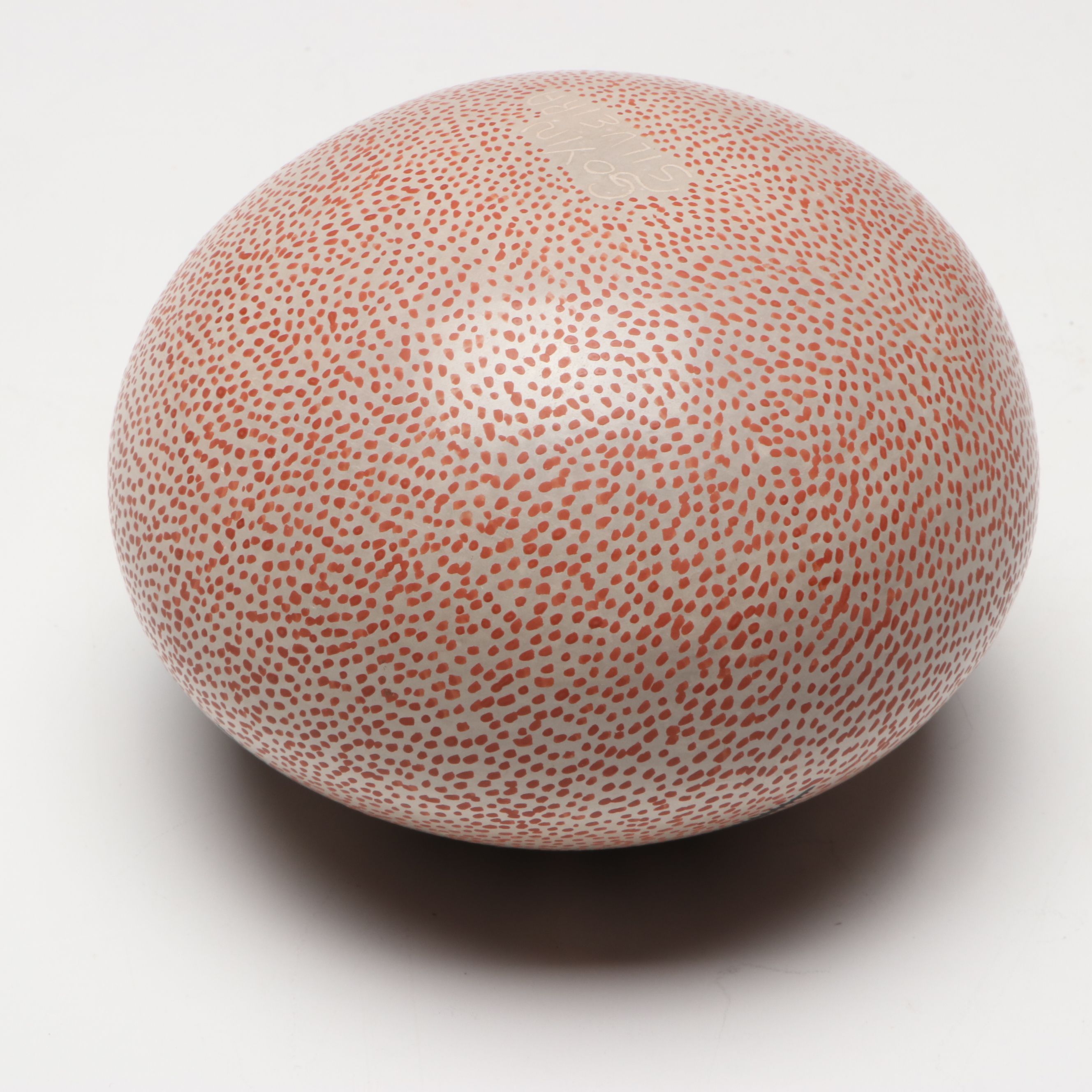 Goyin Silveira Mata Ortiz Pueblo Polychrome Pottery Spider Pot