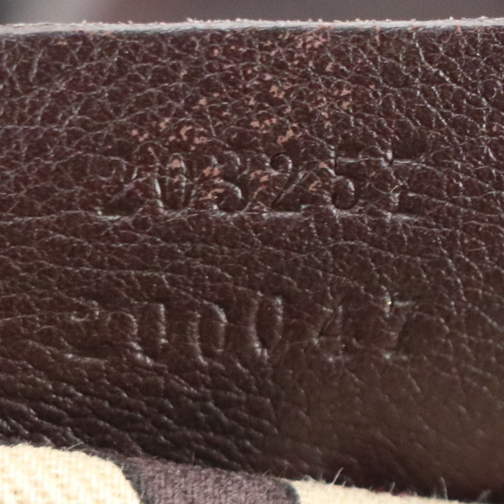 Gucci D Ring Crossbody Bag in Chocolate Brown Guccissima and Calfskin Leather