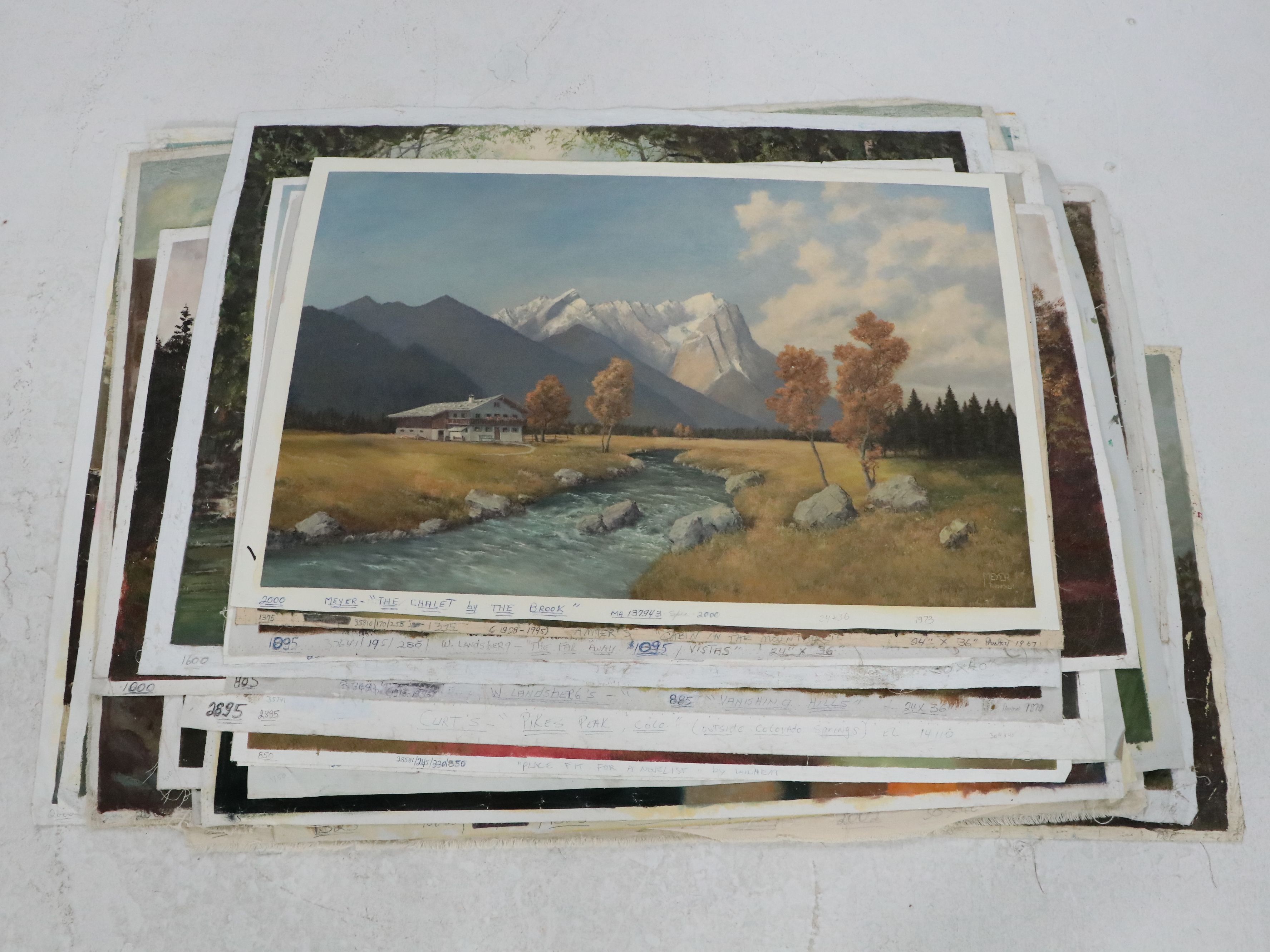 Uncommon Discoveries: Forest Landscapes on Canvas