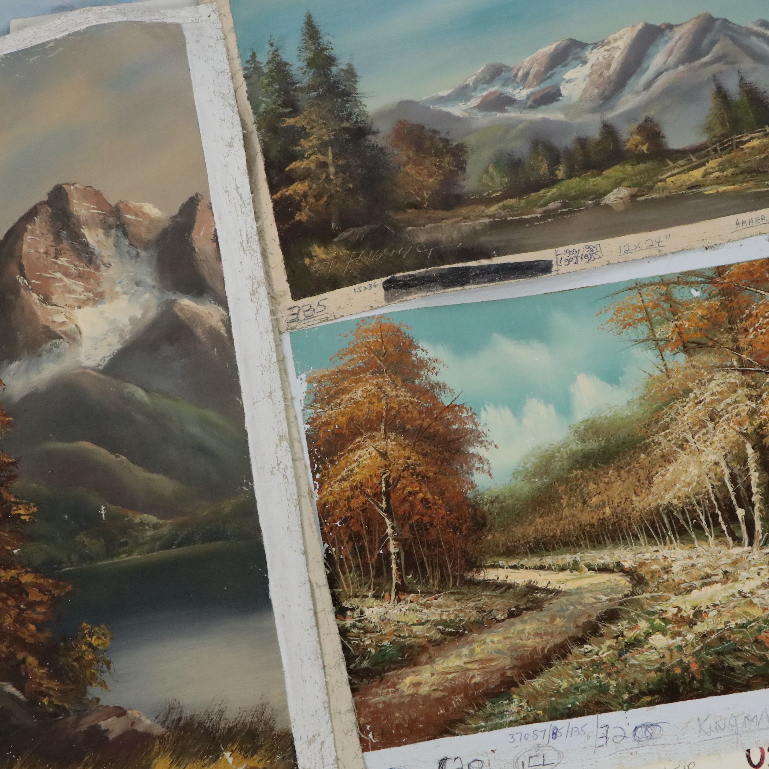 Uncommon Discoveries: Unobstructed Landscapes on Canvas