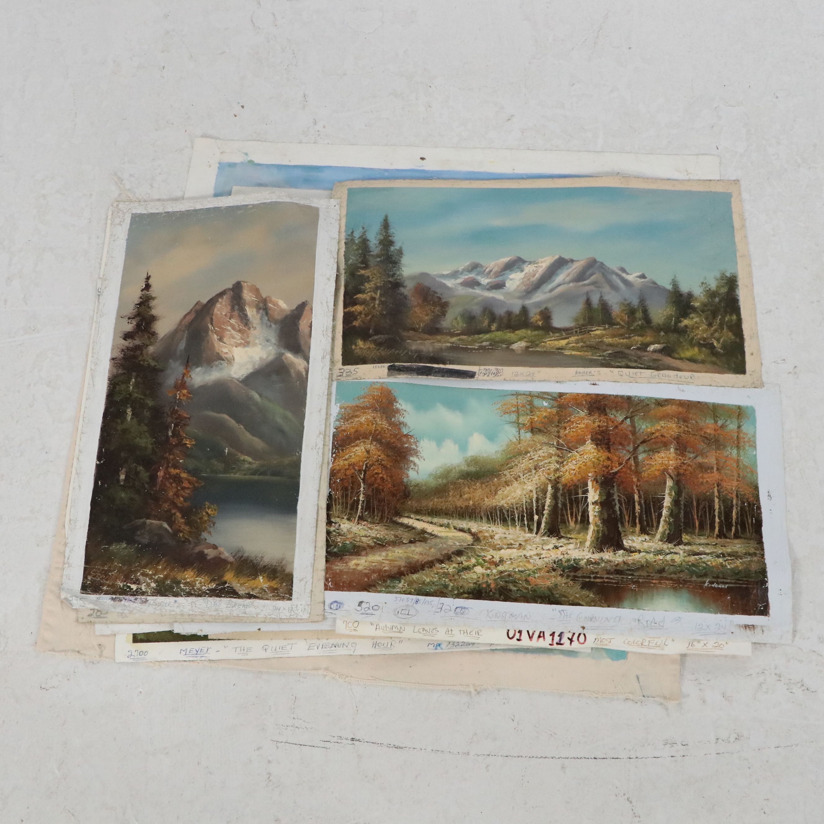 Uncommon Discoveries: Unobstructed Landscapes on Canvas