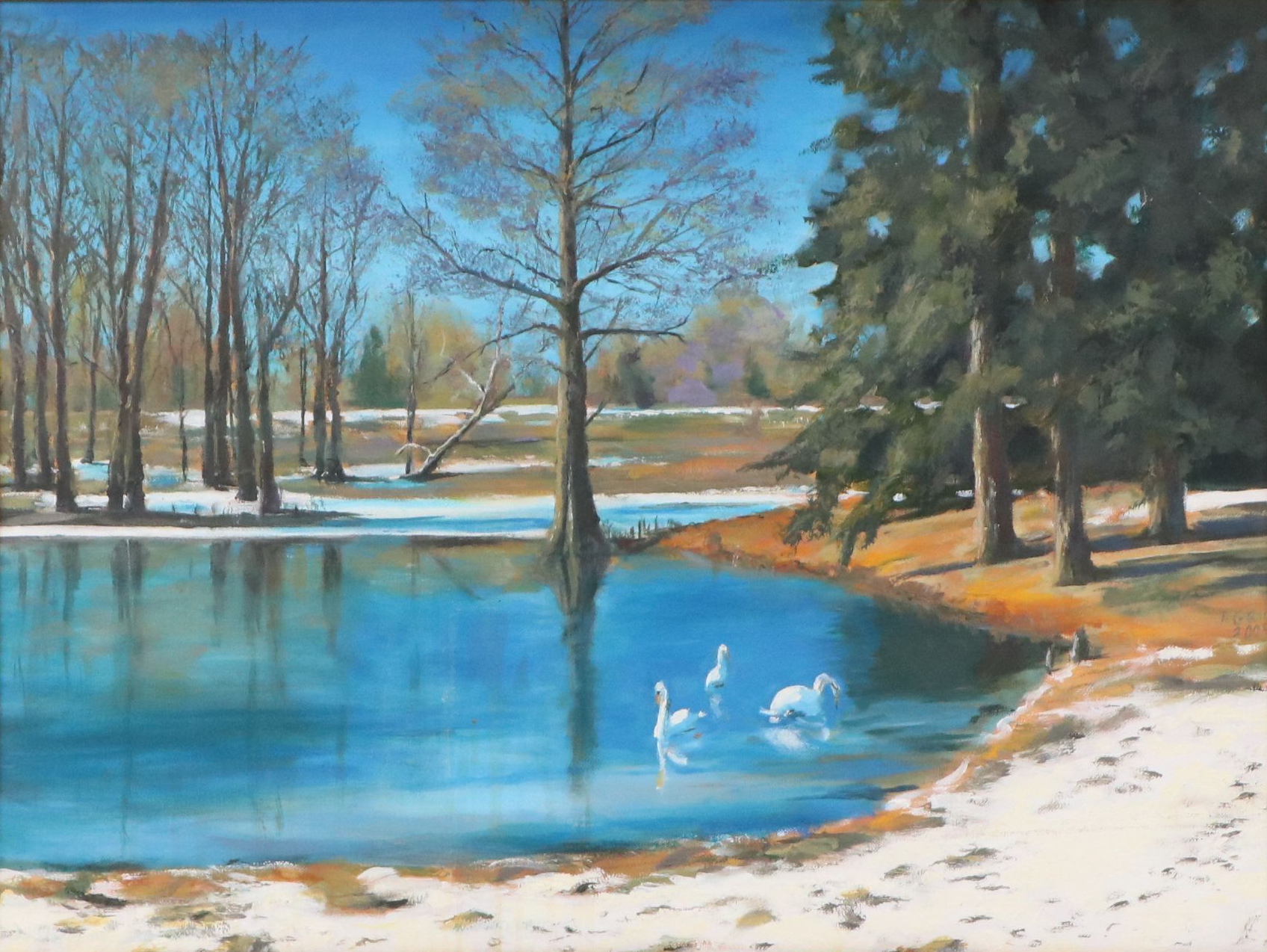 Oil Painting of Late Winter Pond with Swans, 2004