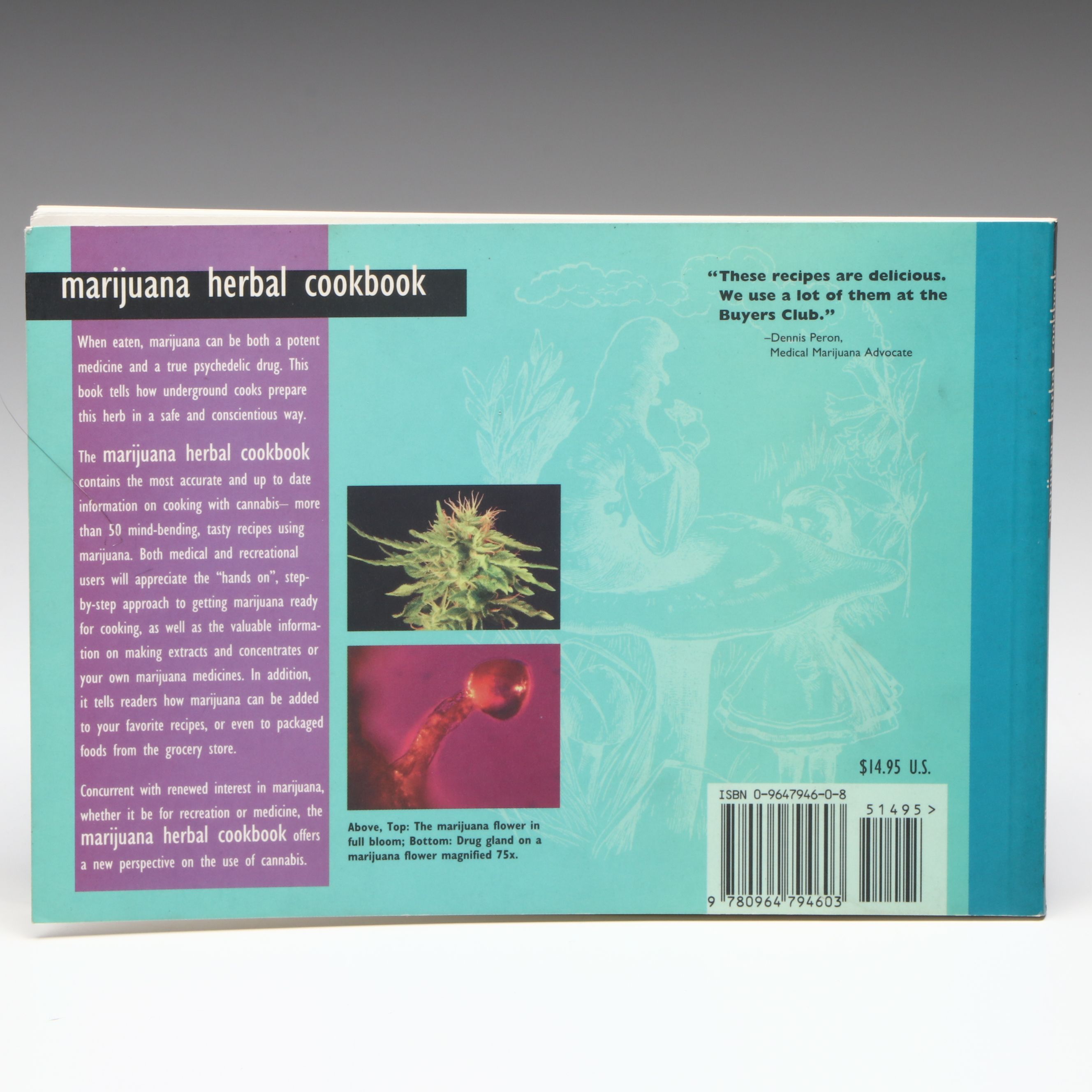 First Printing "Marijuana Herbal Cookbook" by Tom Flowers, 1995