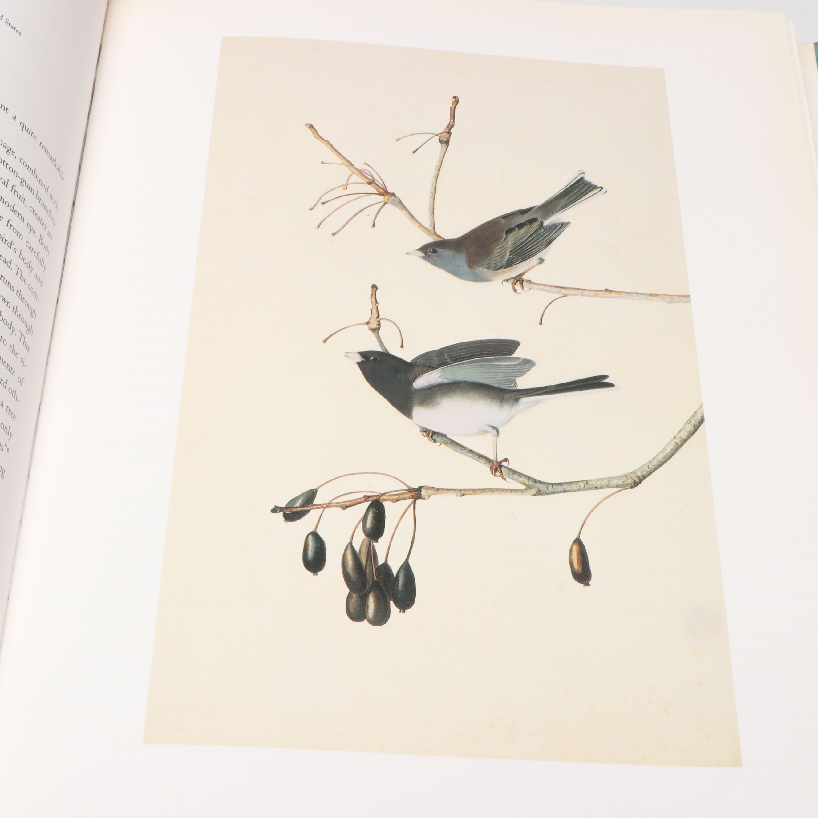 First Printing "John James Audubon: Watercolors for The Birds of America," 1993
