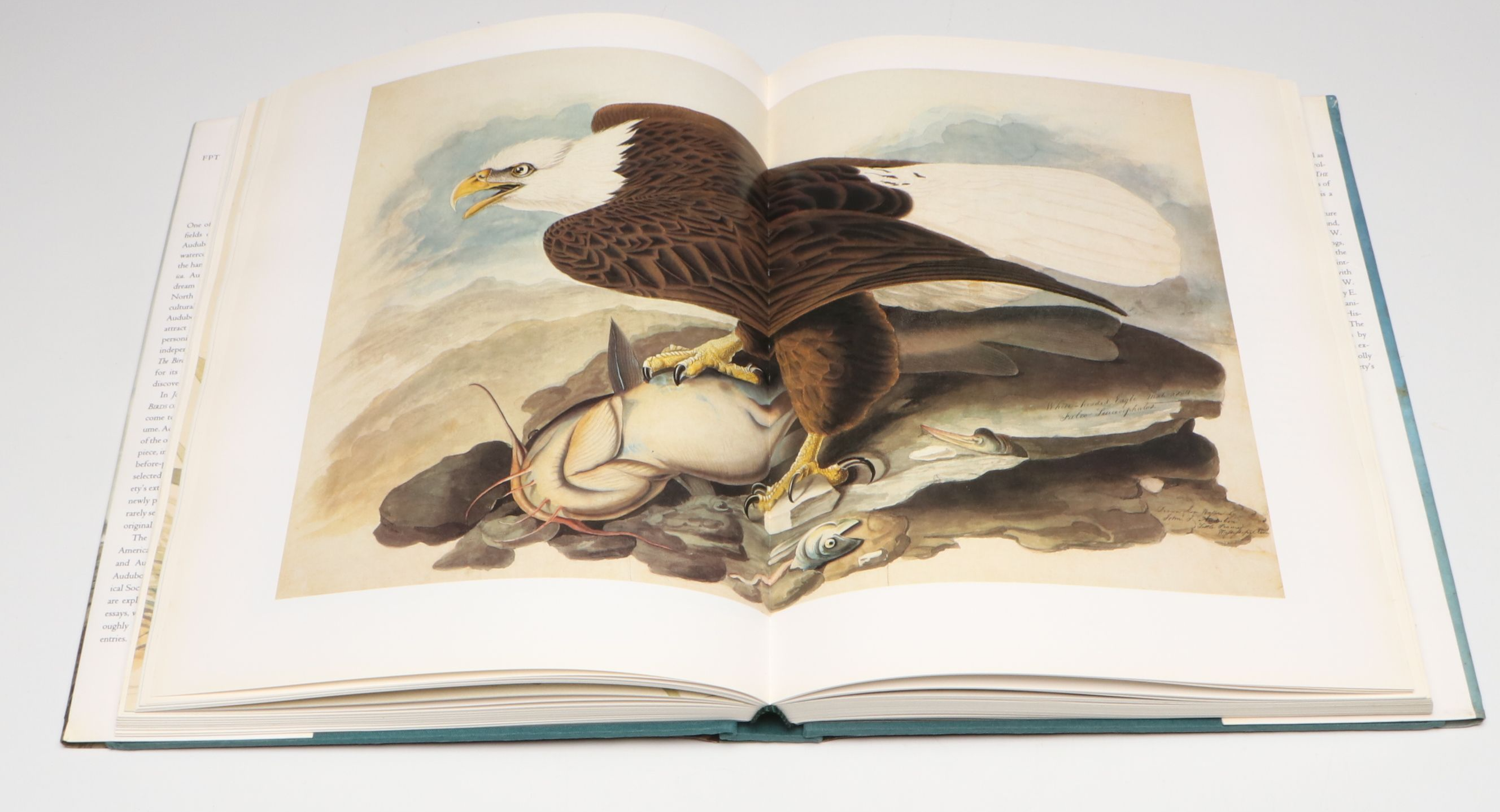 First Printing "John James Audubon: Watercolors for The Birds of America," 1993