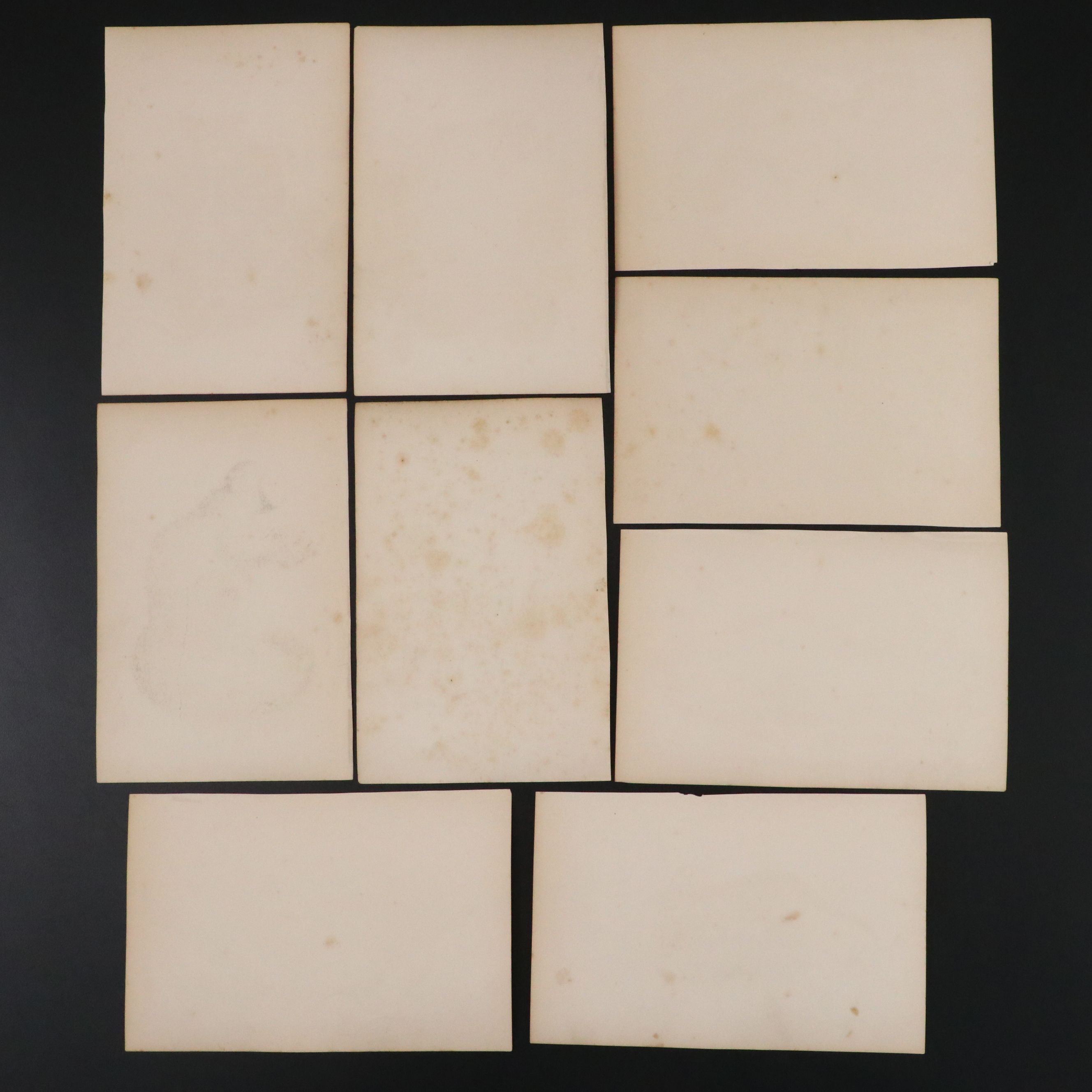 Wyman & Sons Ltd. "Lloyd's Natural History" Chromolithograph Plates, 19th C.