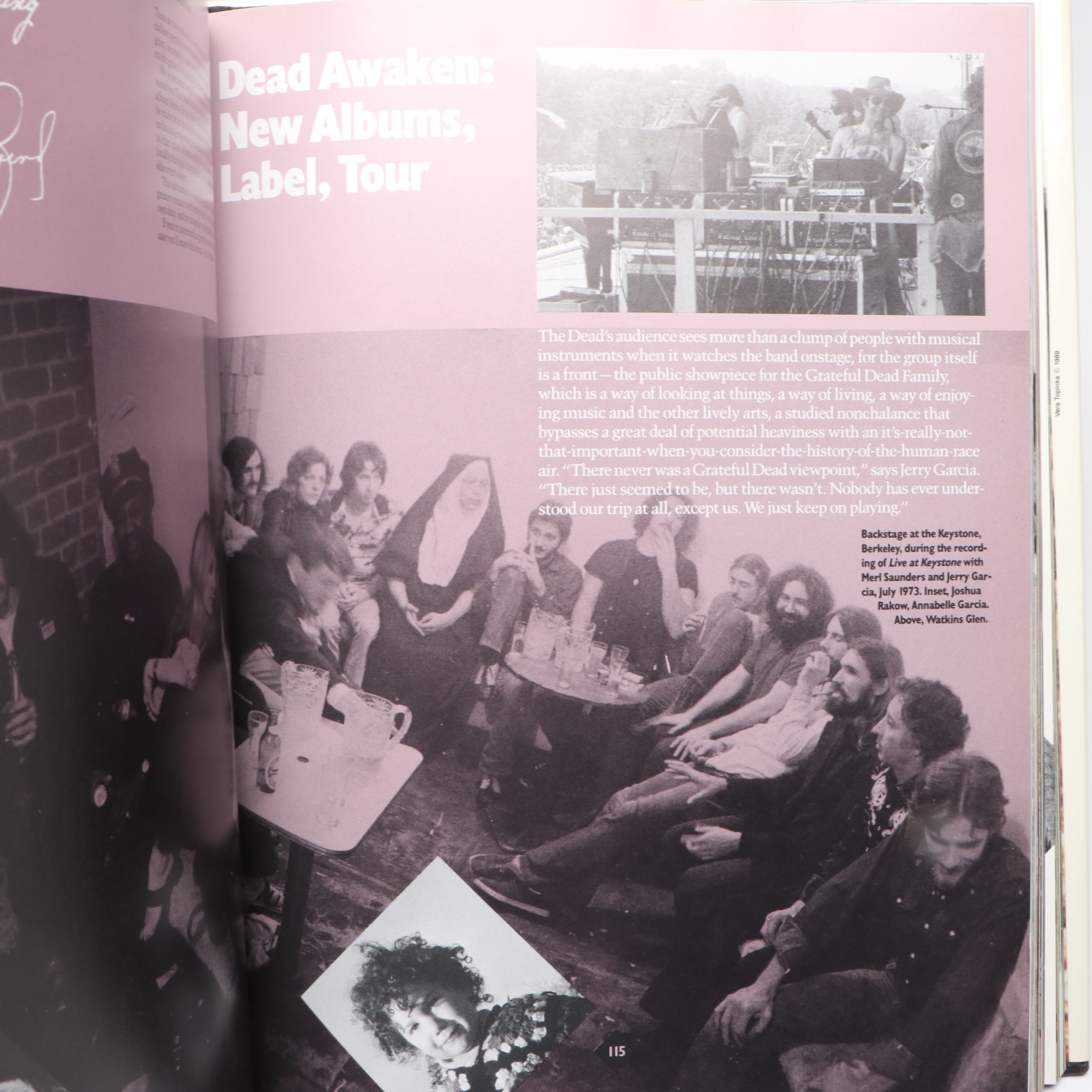 First Printing "Grateful Dead Family Album" by Jerilyn Lee Brandelius, 1989