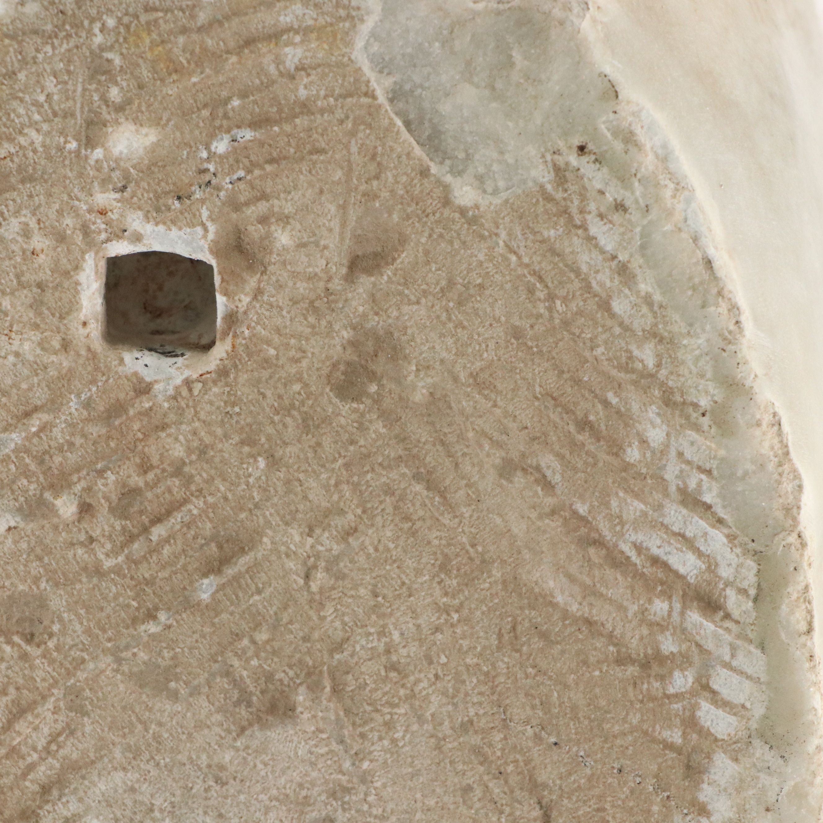 Grand Tour Carved Marble Head of a Satyr