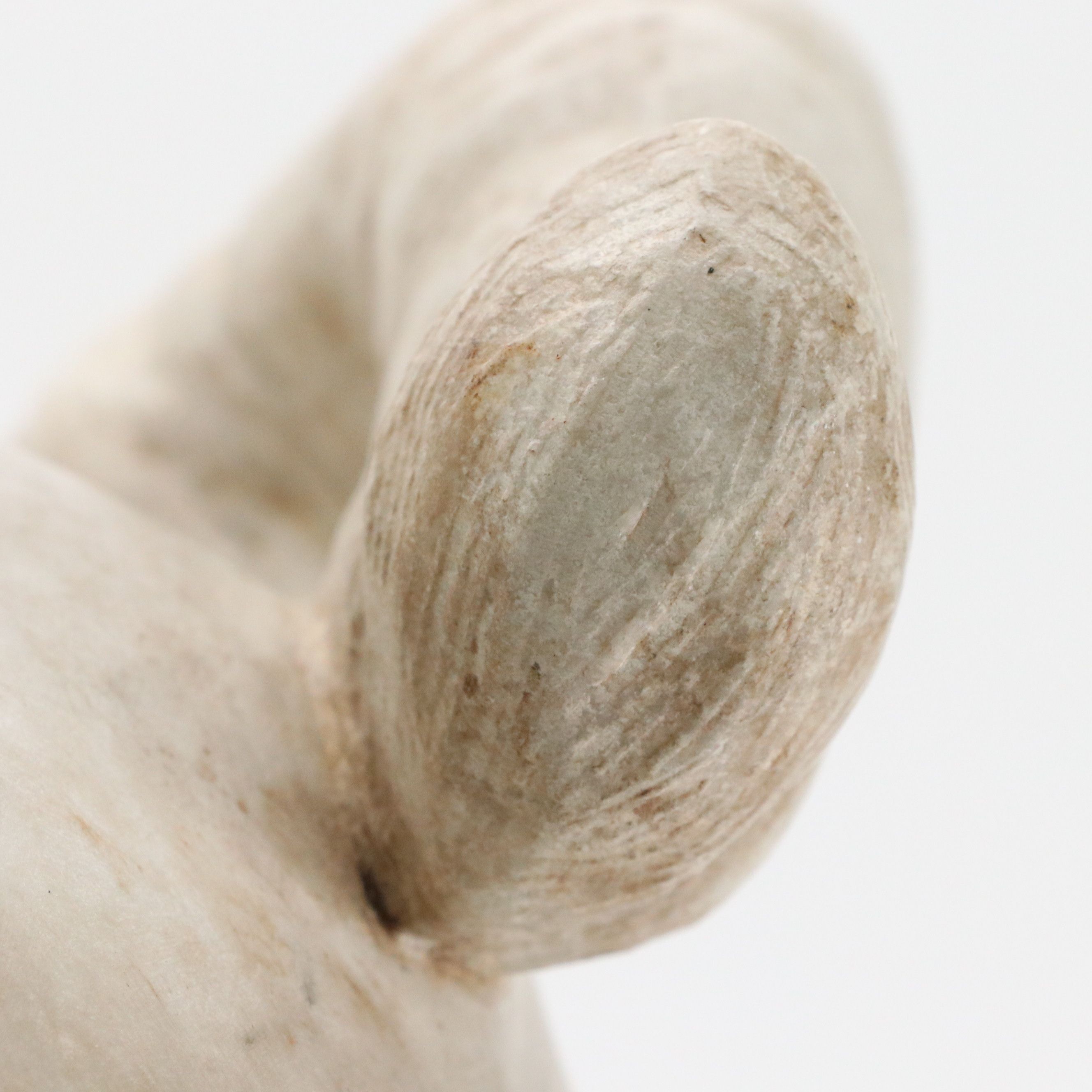 Grand Tour Carved Marble Head of a Satyr