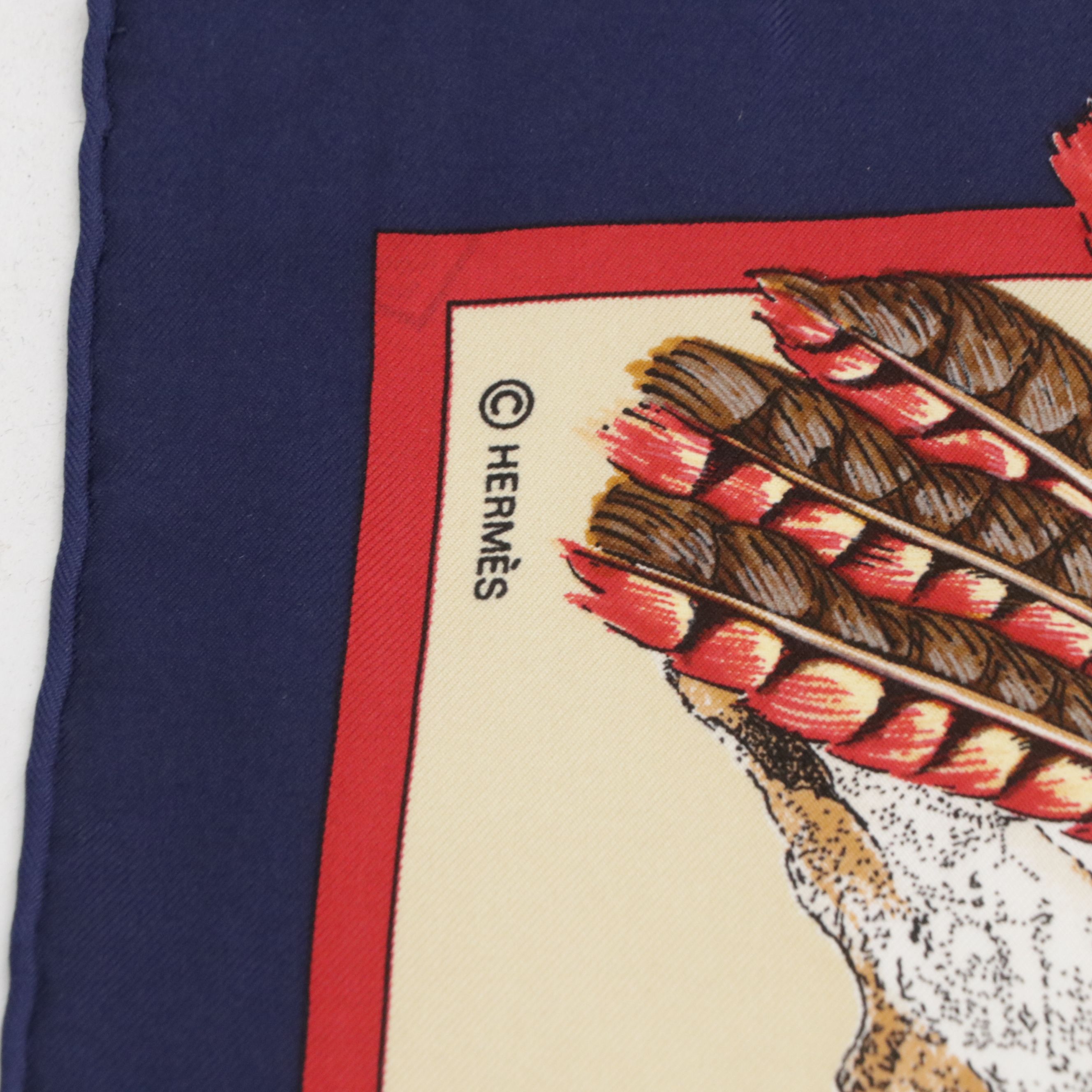 Hermès "Pani La Shar Pawnee" Scarf 90 in Silk Twill 7