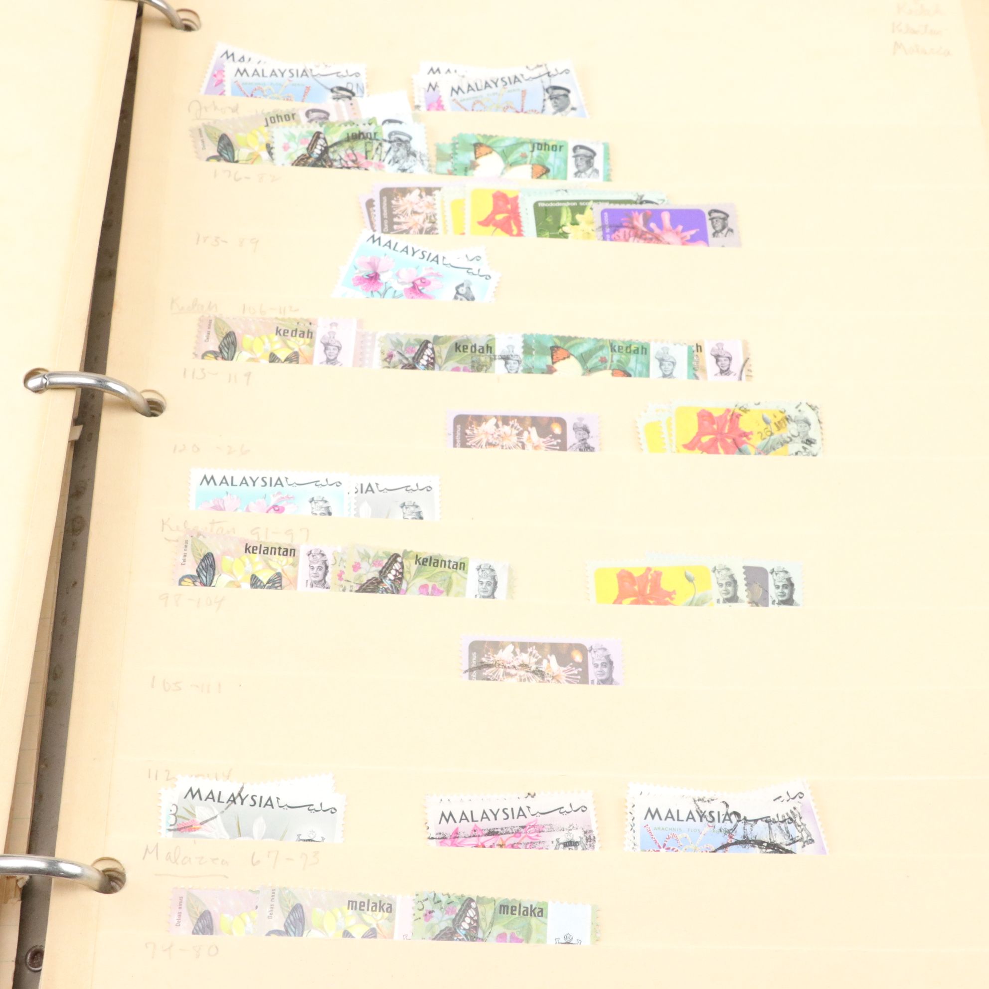 International Stamp Collection with Scott's 1901 Album