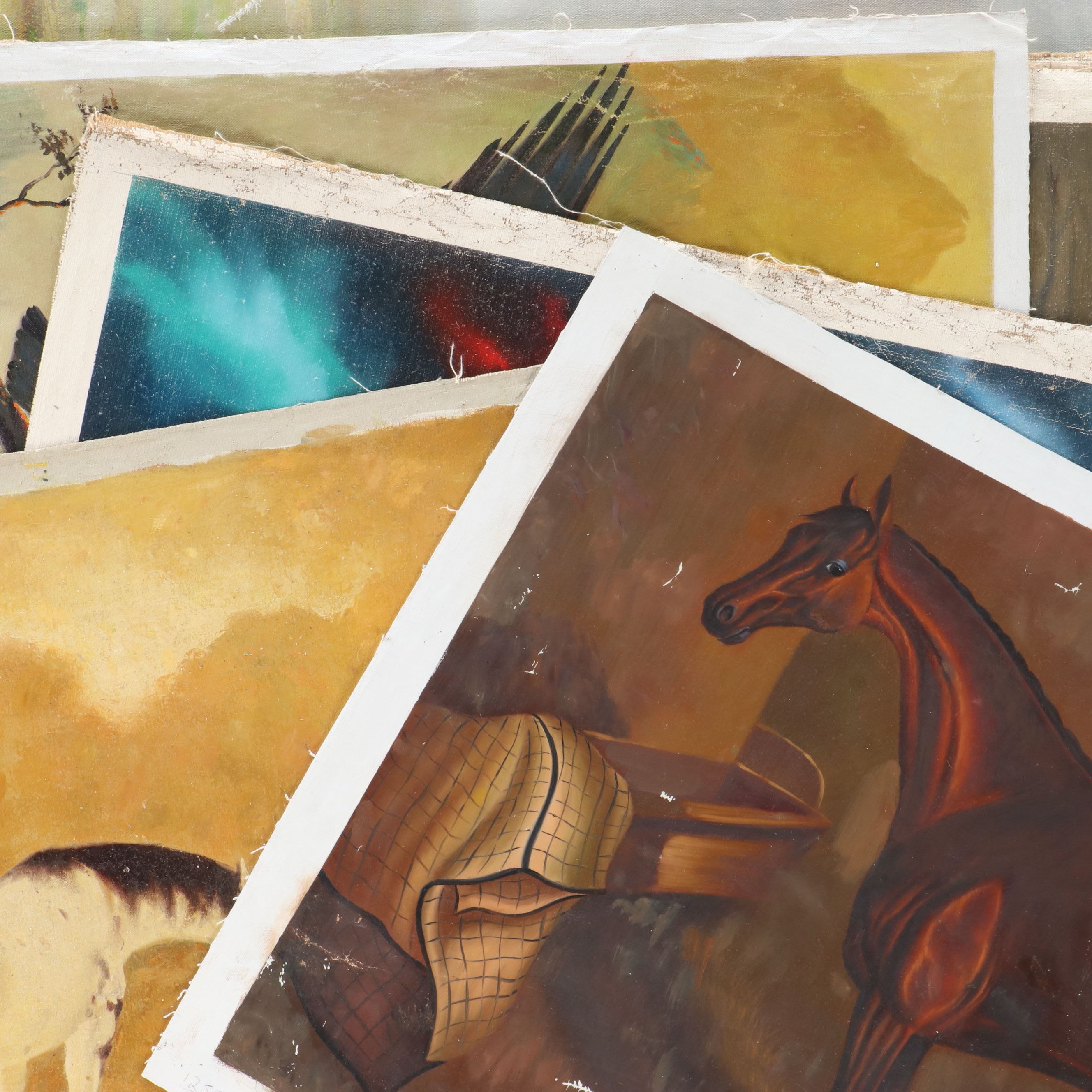 Uncommon Discoveries: Creatures Great and Small Paintings on Canvas