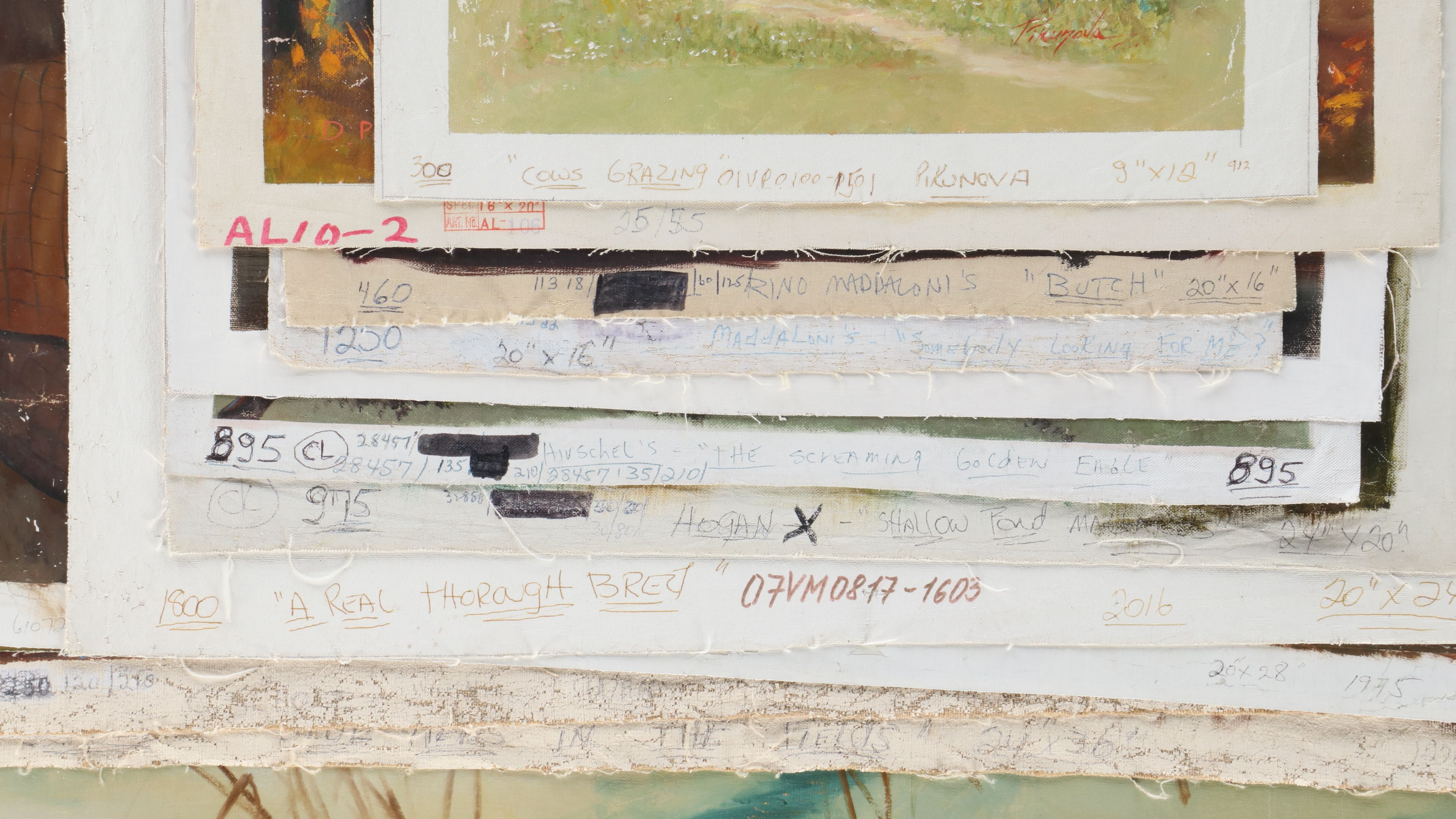 Uncommon Discoveries: Creatures Great and Small Paintings on Canvas