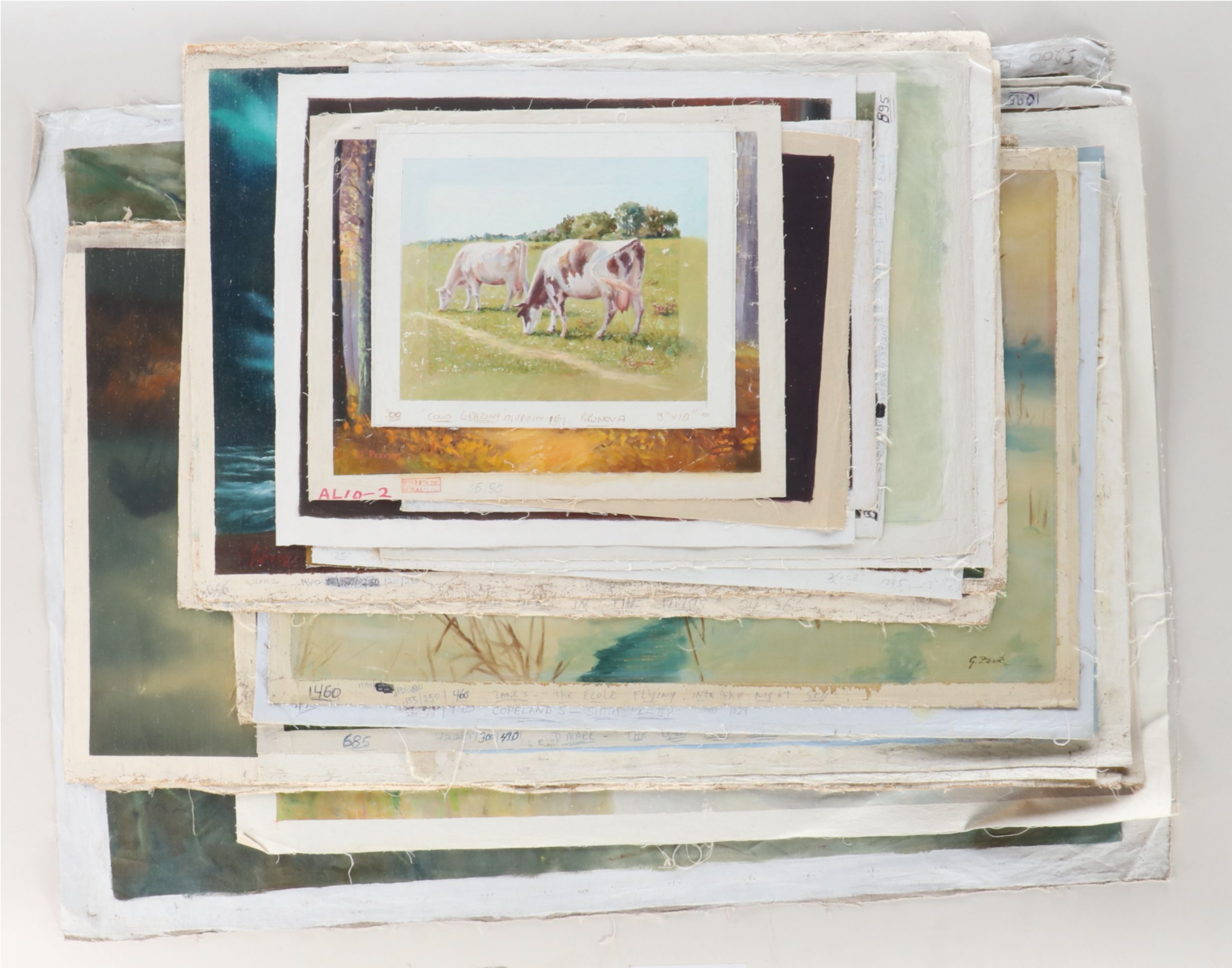 Uncommon Discoveries: Creatures Great and Small Paintings on Canvas