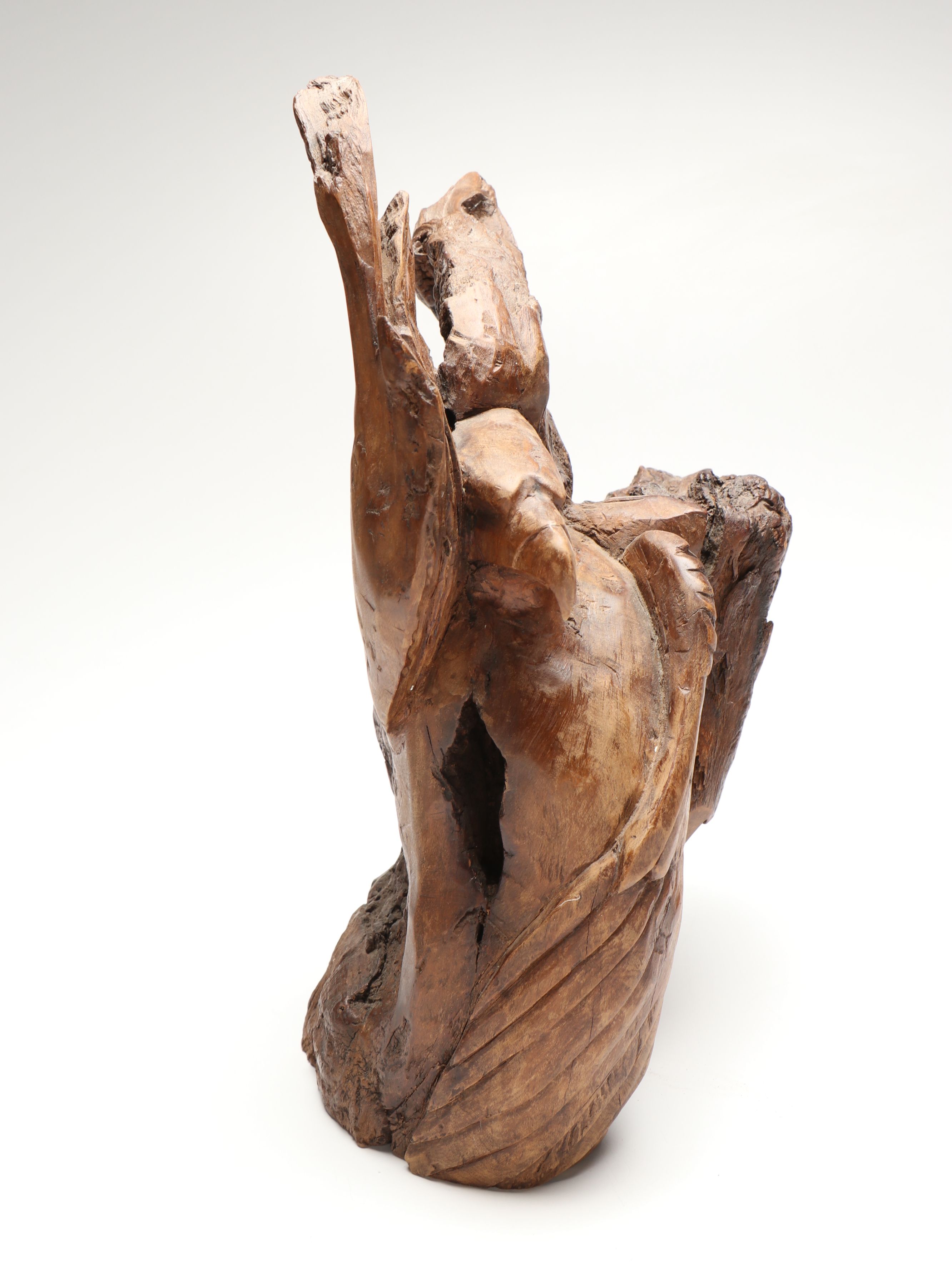 Live Edge Carved Wood Eagle with Other Resin Eagle Wall Mount and Sculpture