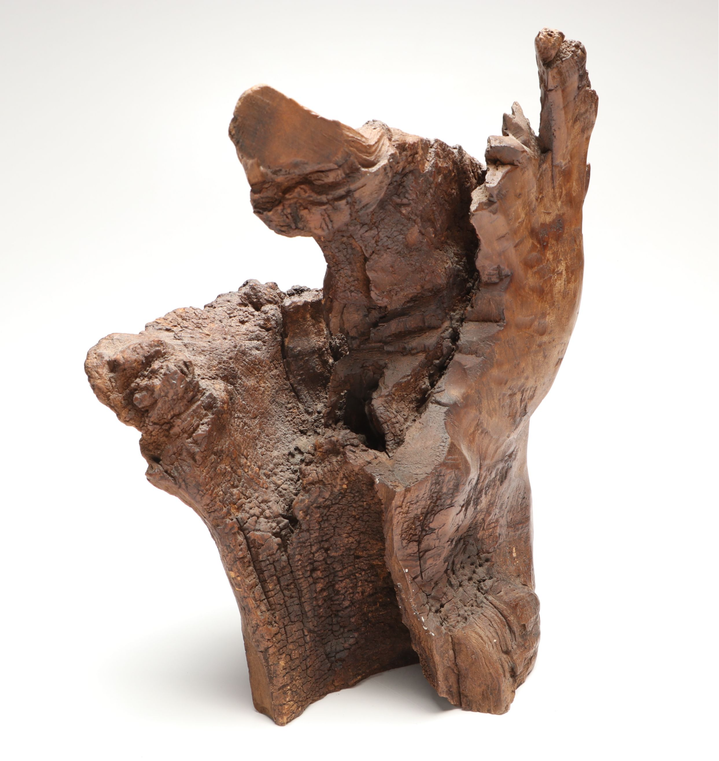 Live Edge Carved Wood Eagle with Other Resin Eagle Wall Mount and Sculpture