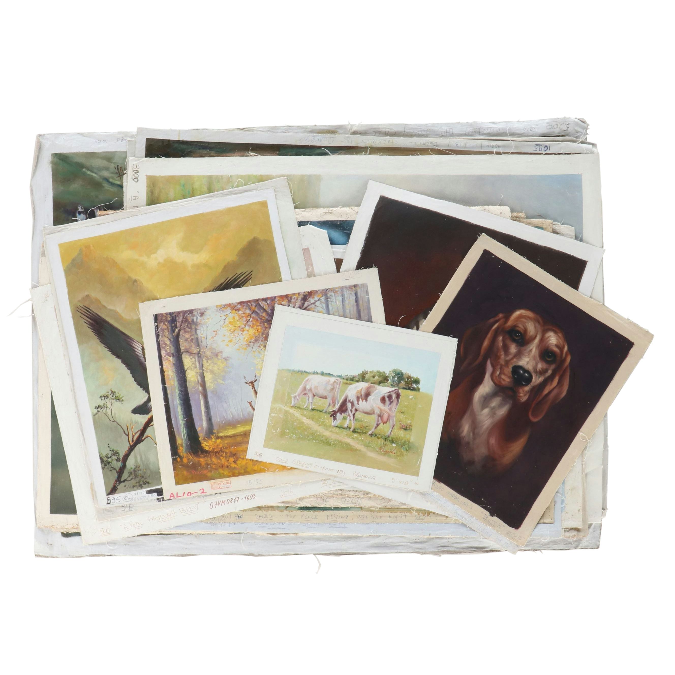 Uncommon Discoveries: Creatures Great and Small Paintings on Canvas