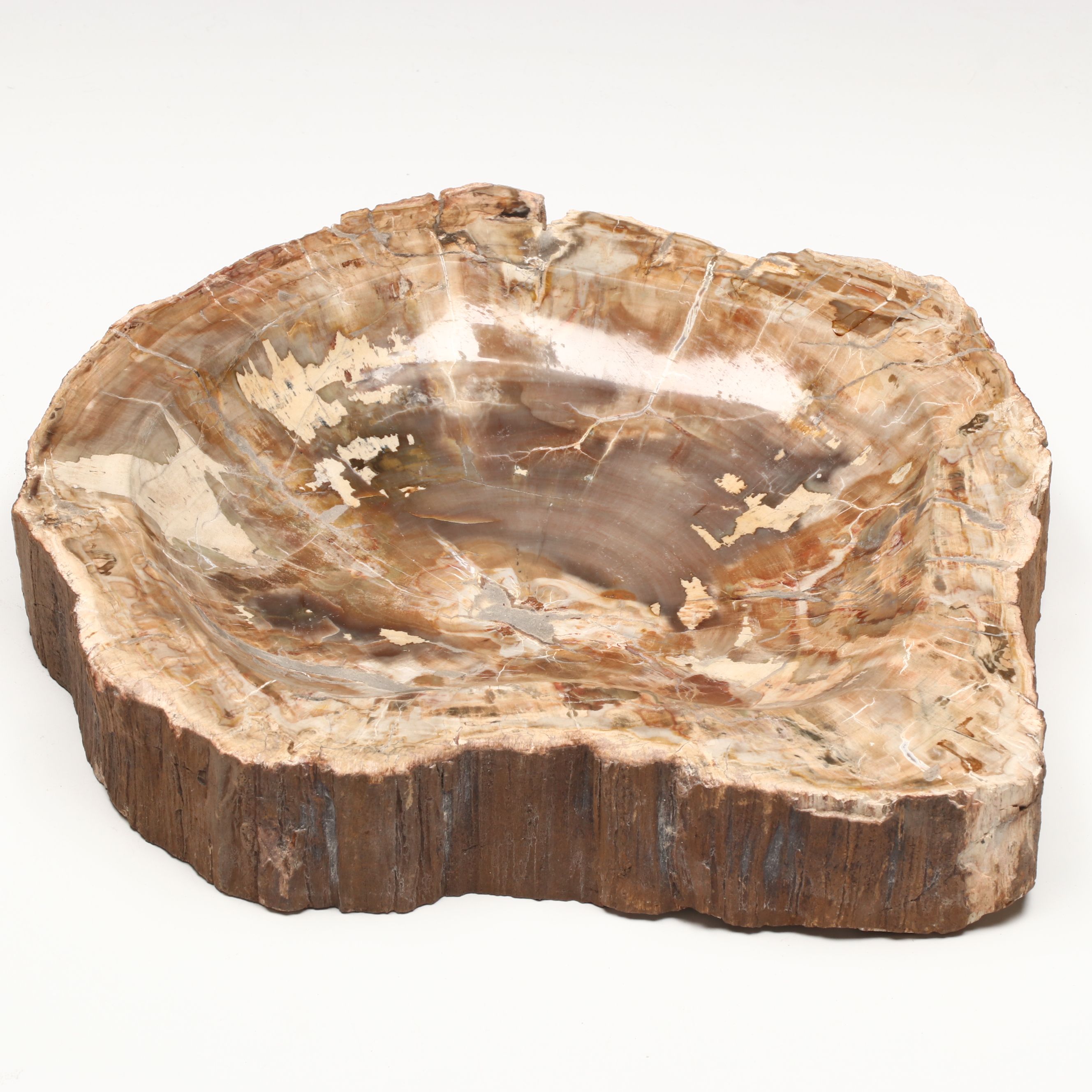 Polished Petrified Wood Bowl