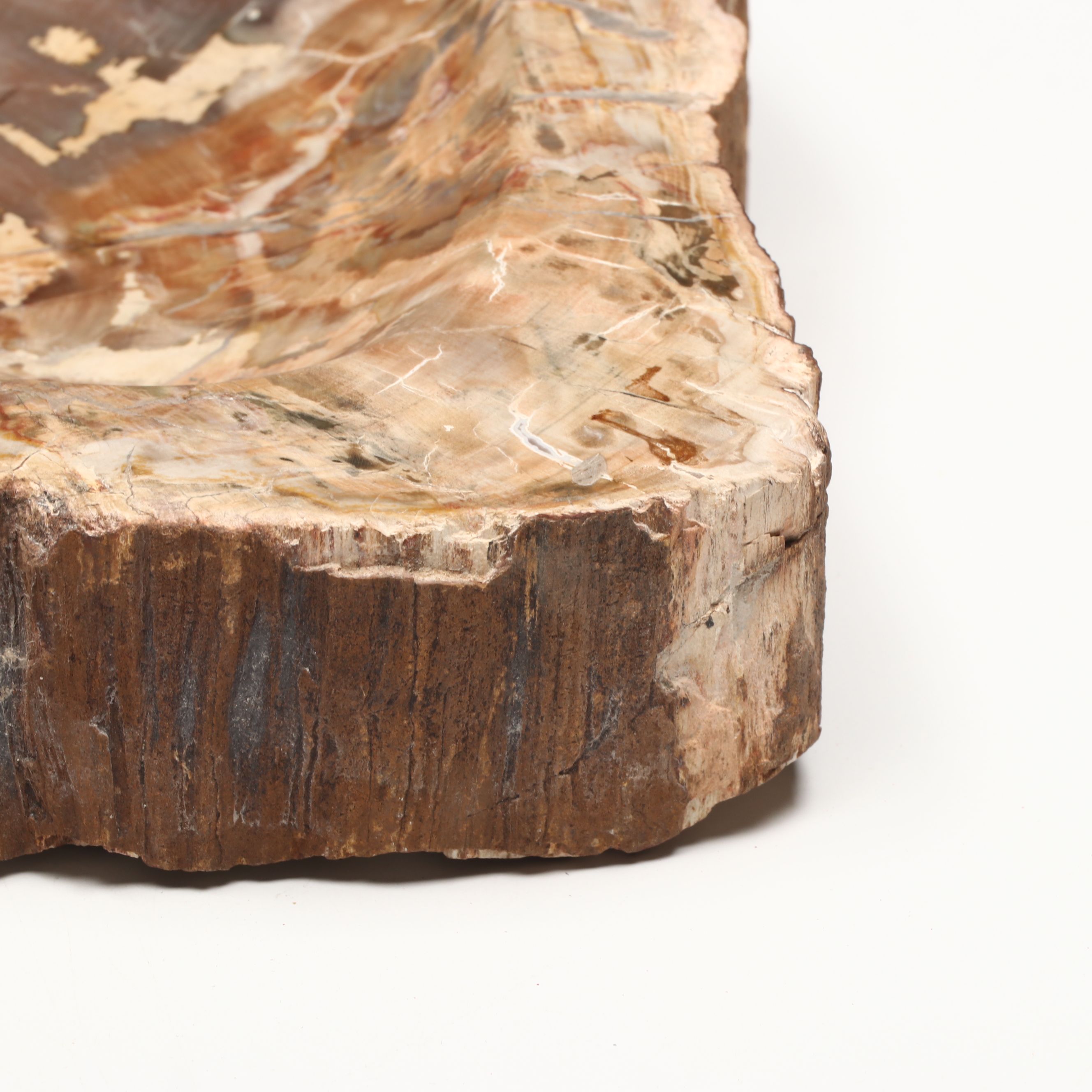 Polished Petrified Wood Bowl