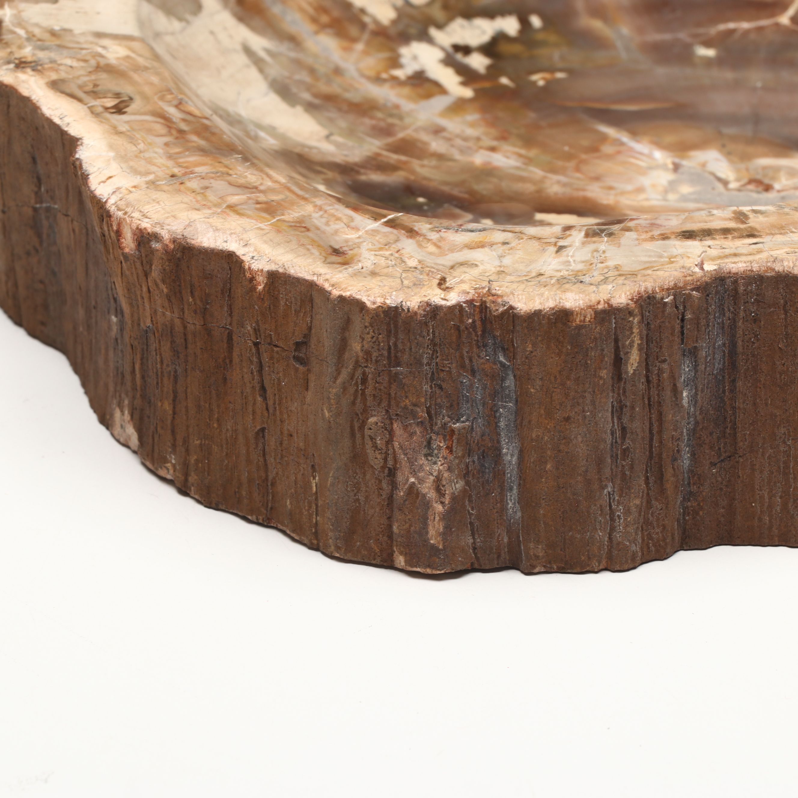 Polished Petrified Wood Bowl